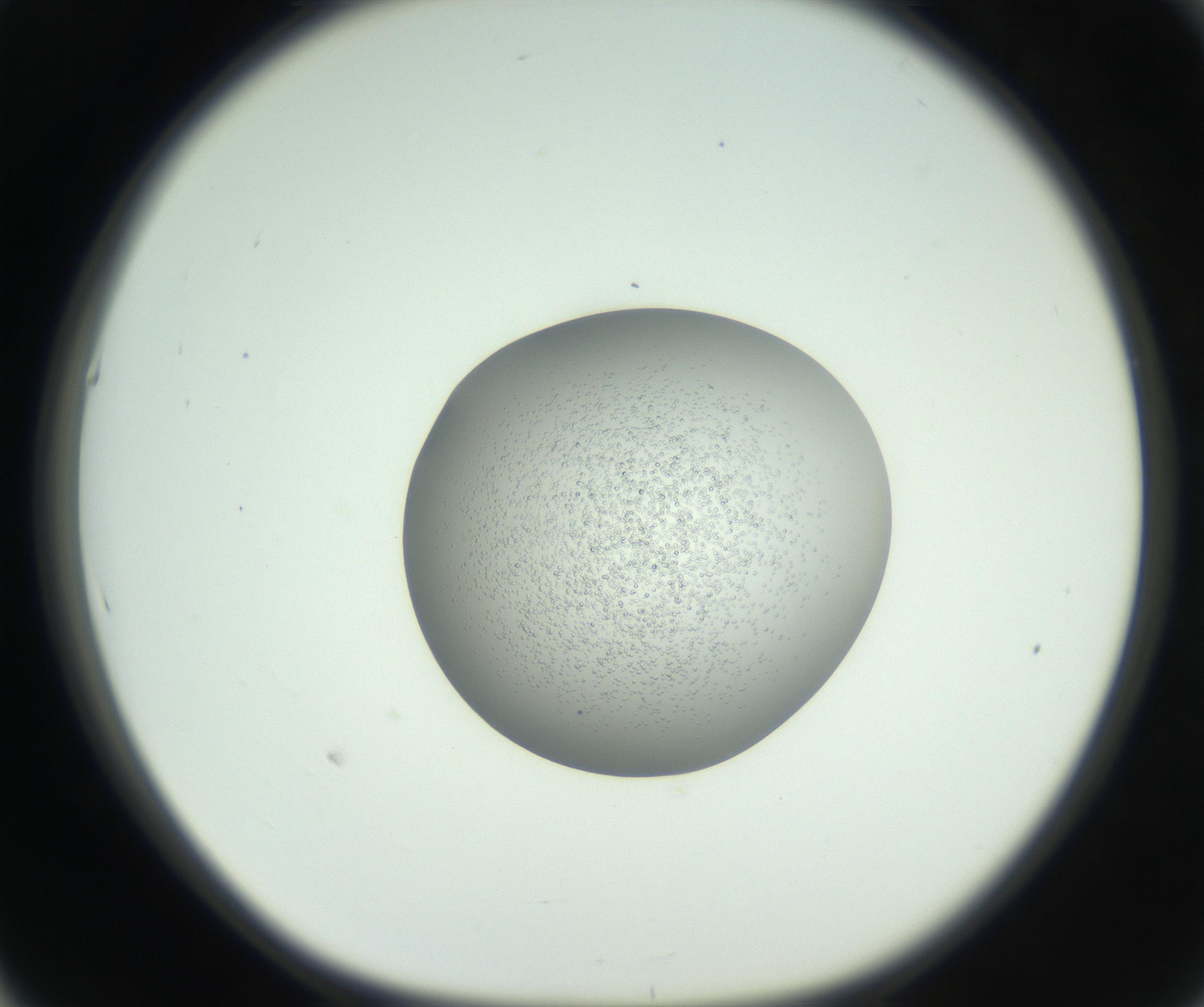RI01_03_000_0212_Proj1_Clon1_MC_0000MC102744_002_160922_05_05_01_00_99_002_001_RAI.jpg