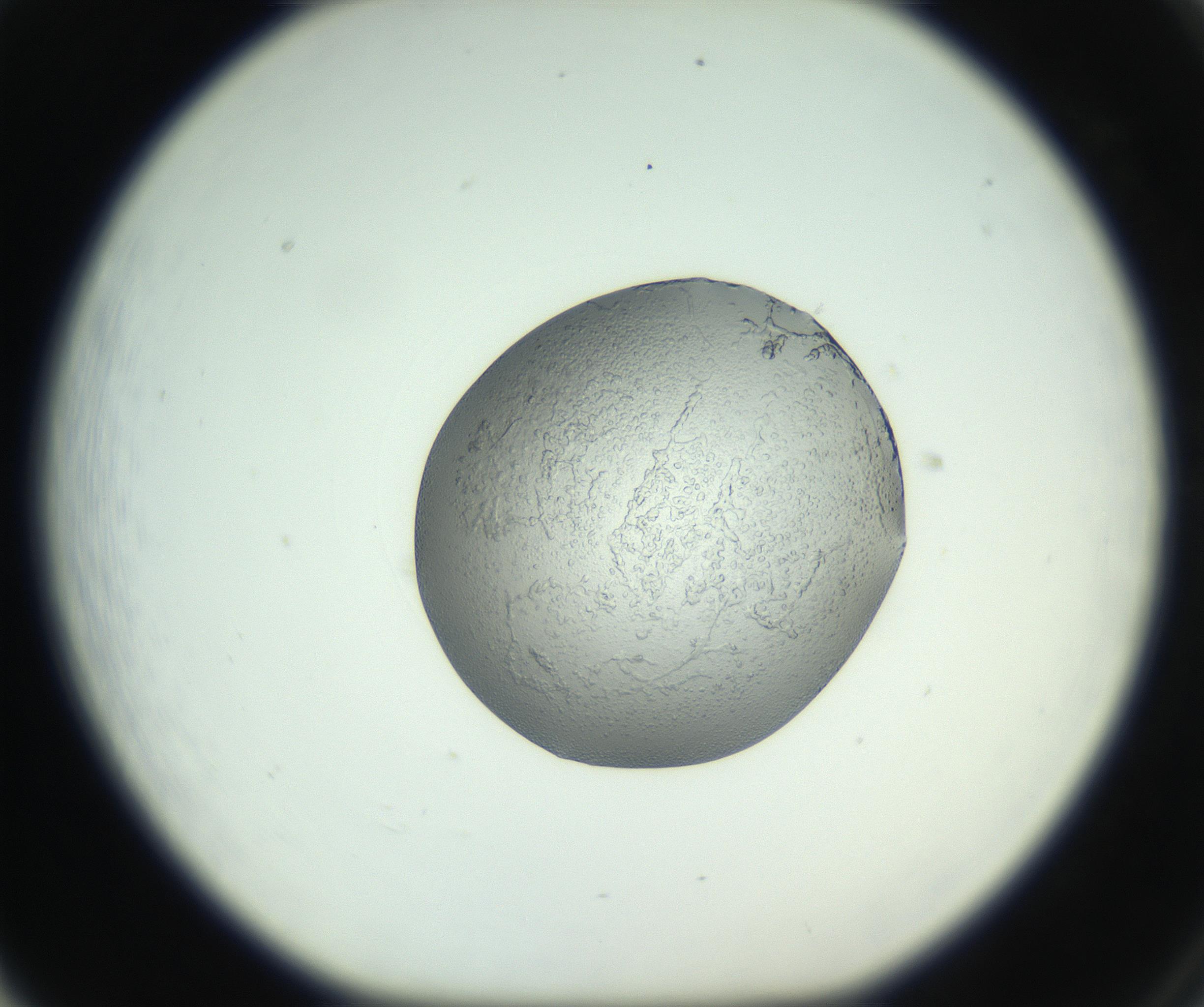 RI01_03_000_0212_Proj1_Clon1_MC_0000MC102744_002_160922_05_06_01_00_99_002_001_RAI.jpg