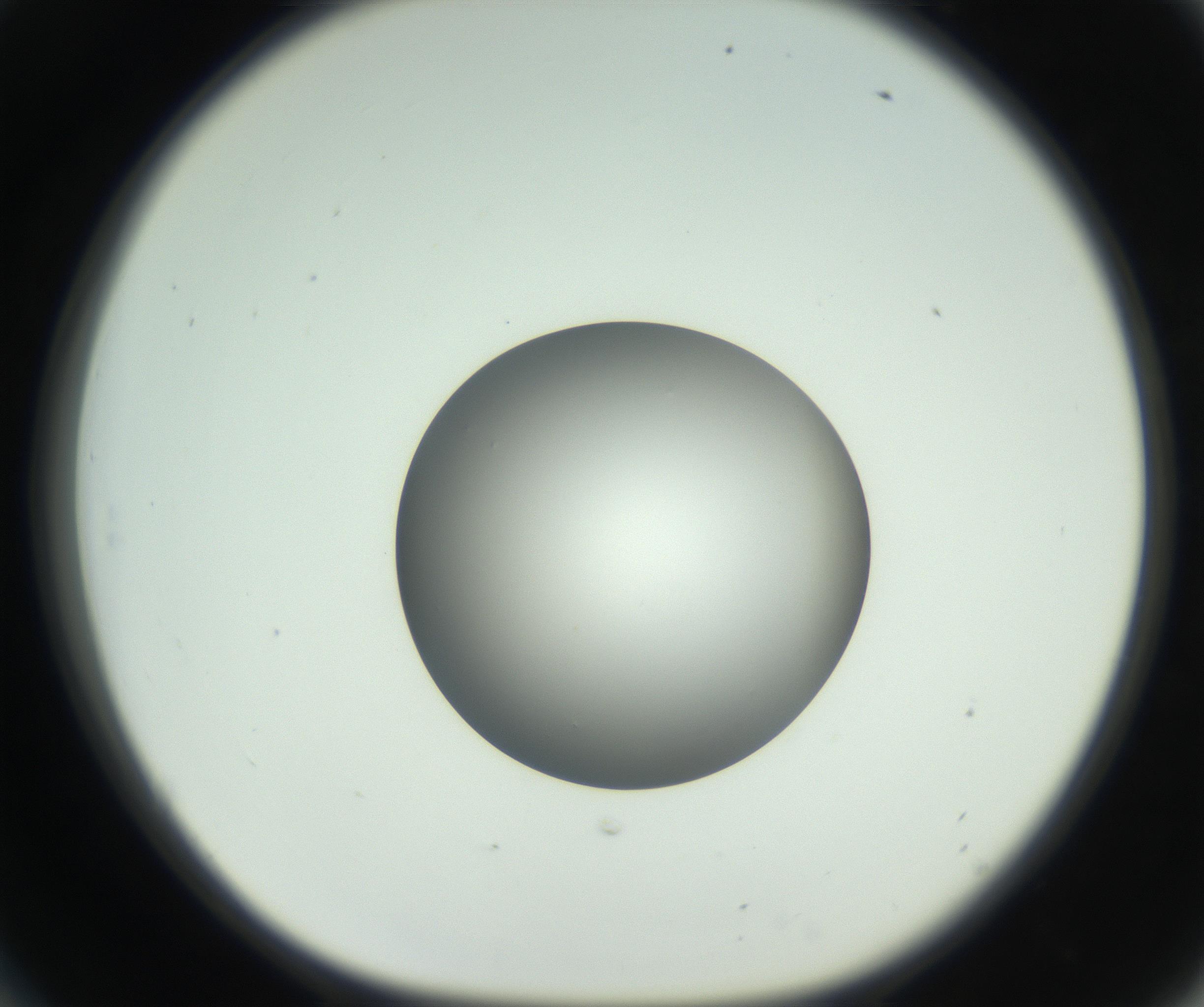 RI01_03_000_0212_Proj1_Clon1_MC_0000MC102744_002_160922_06_05_01_00_99_002_001_RAI.jpg