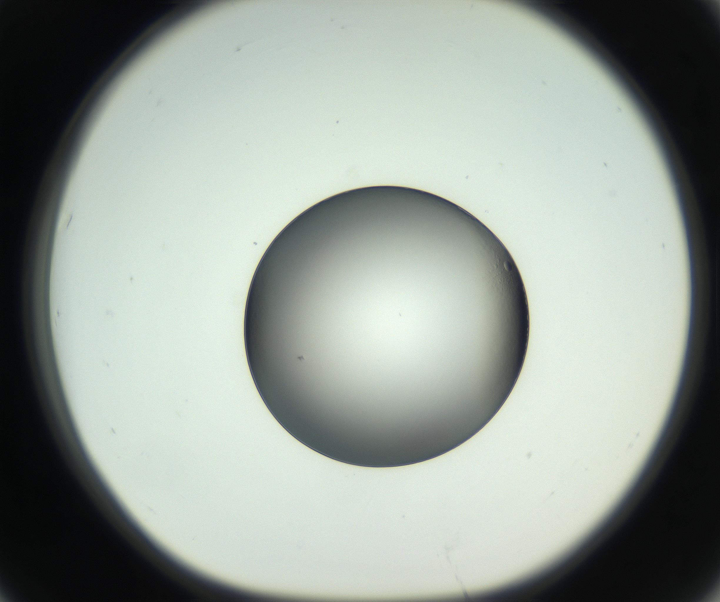 RI01_03_000_0212_Proj1_Clon1_MC_0000MC102744_002_160922_07_06_01_00_99_002_001_RAI.jpg