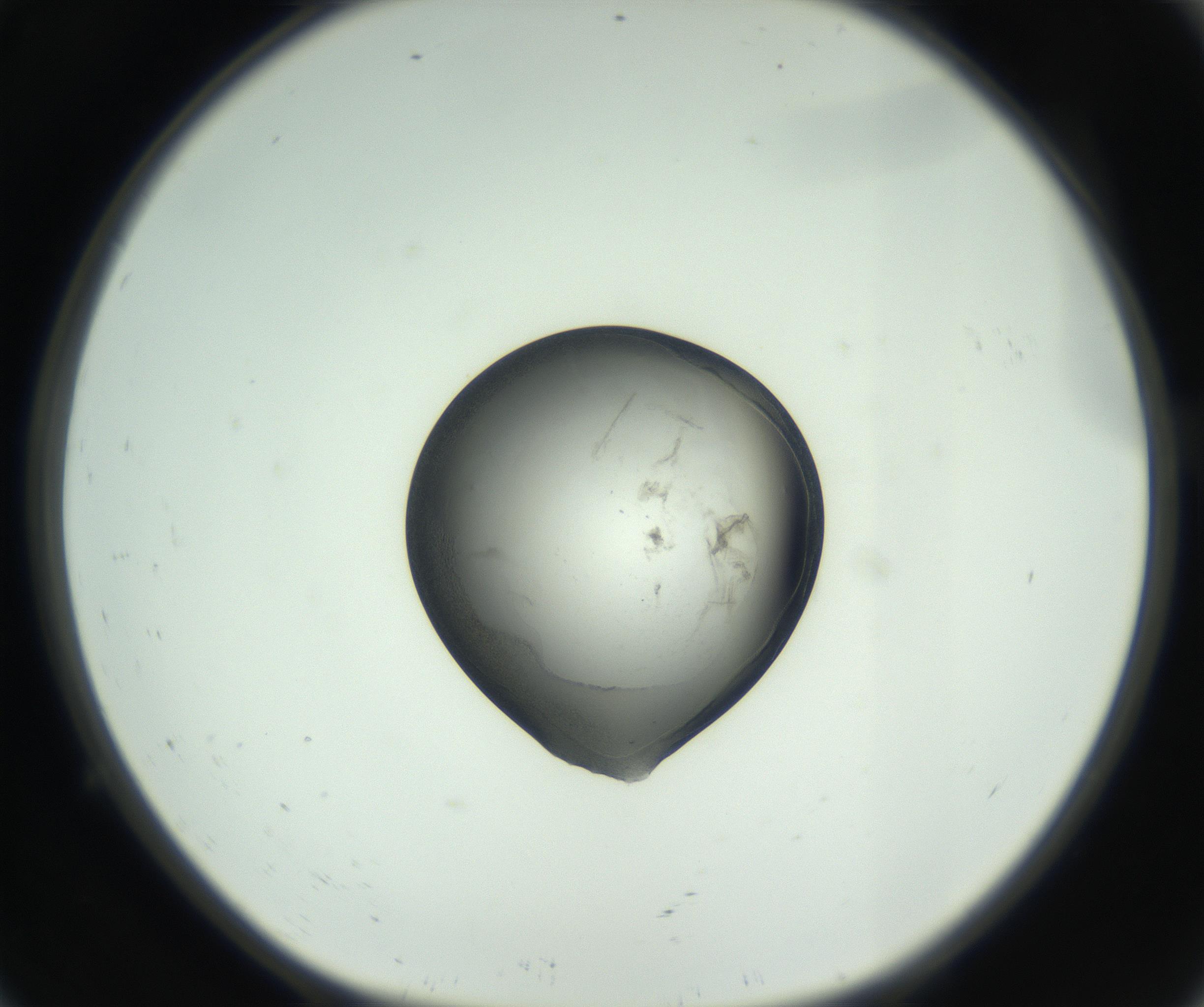 RI01_03_000_0212_Proj1_Clon1_MC_0000MC102744_002_160922_09_01_01_00_99_002_001_RAI.jpg
