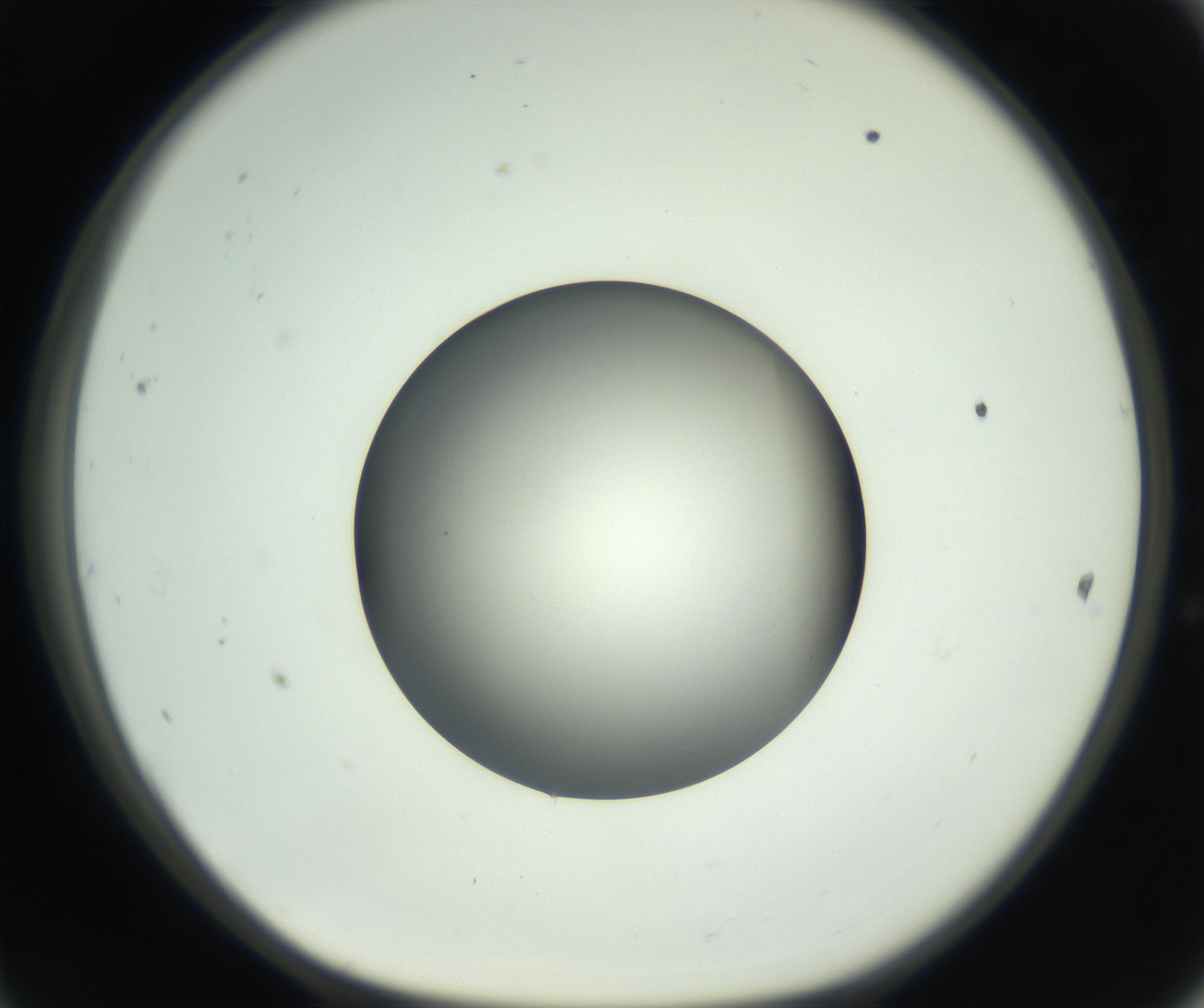 RI01_03_000_0212_Proj1_Clon1_MC_0000MC102744_002_160922_11_04_01_00_99_002_001_RAI.jpg