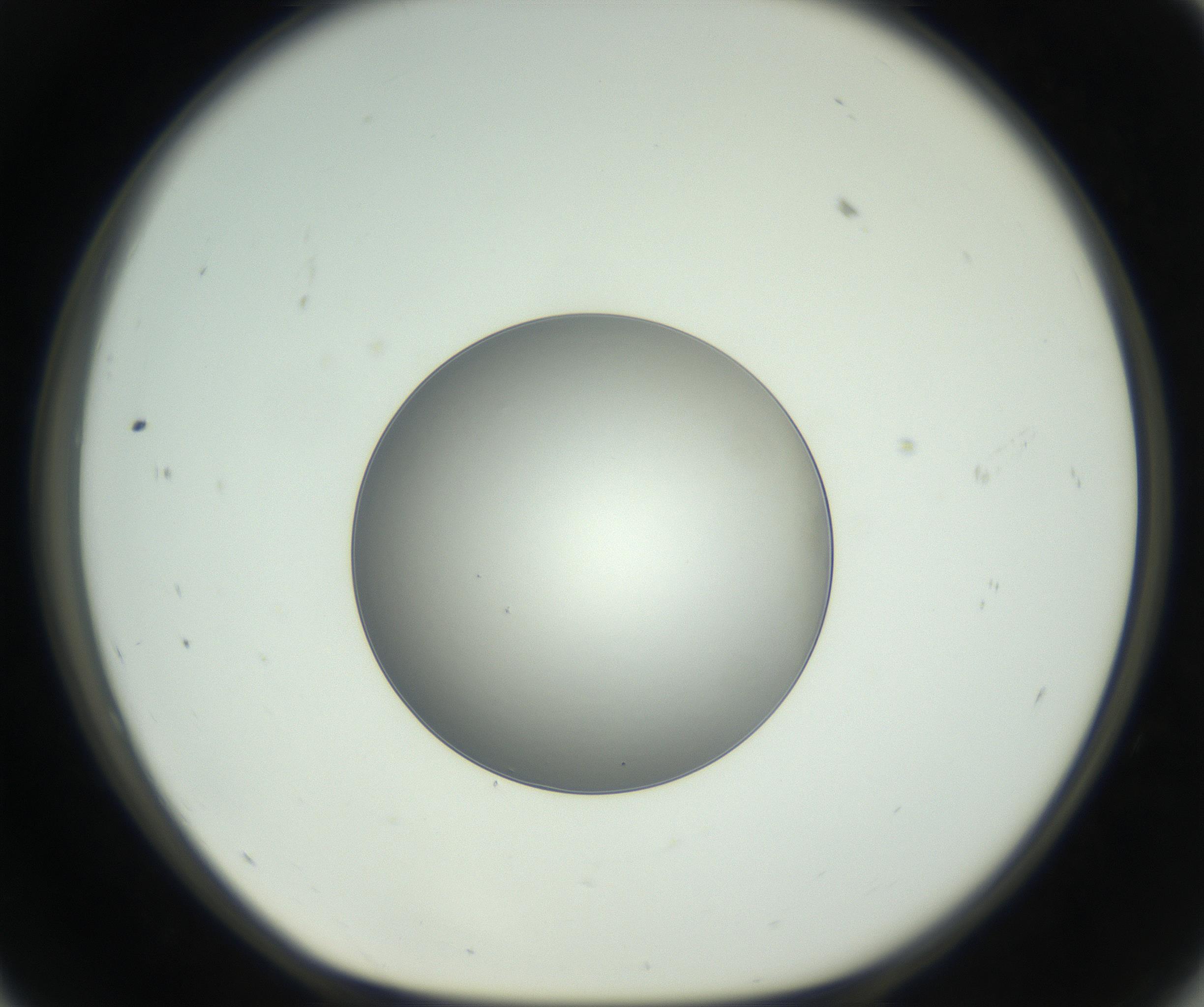 RI01_03_000_0212_Proj1_Clon1_MC_0000MC102744_002_160922_11_05_01_00_99_002_001_RAI.jpg