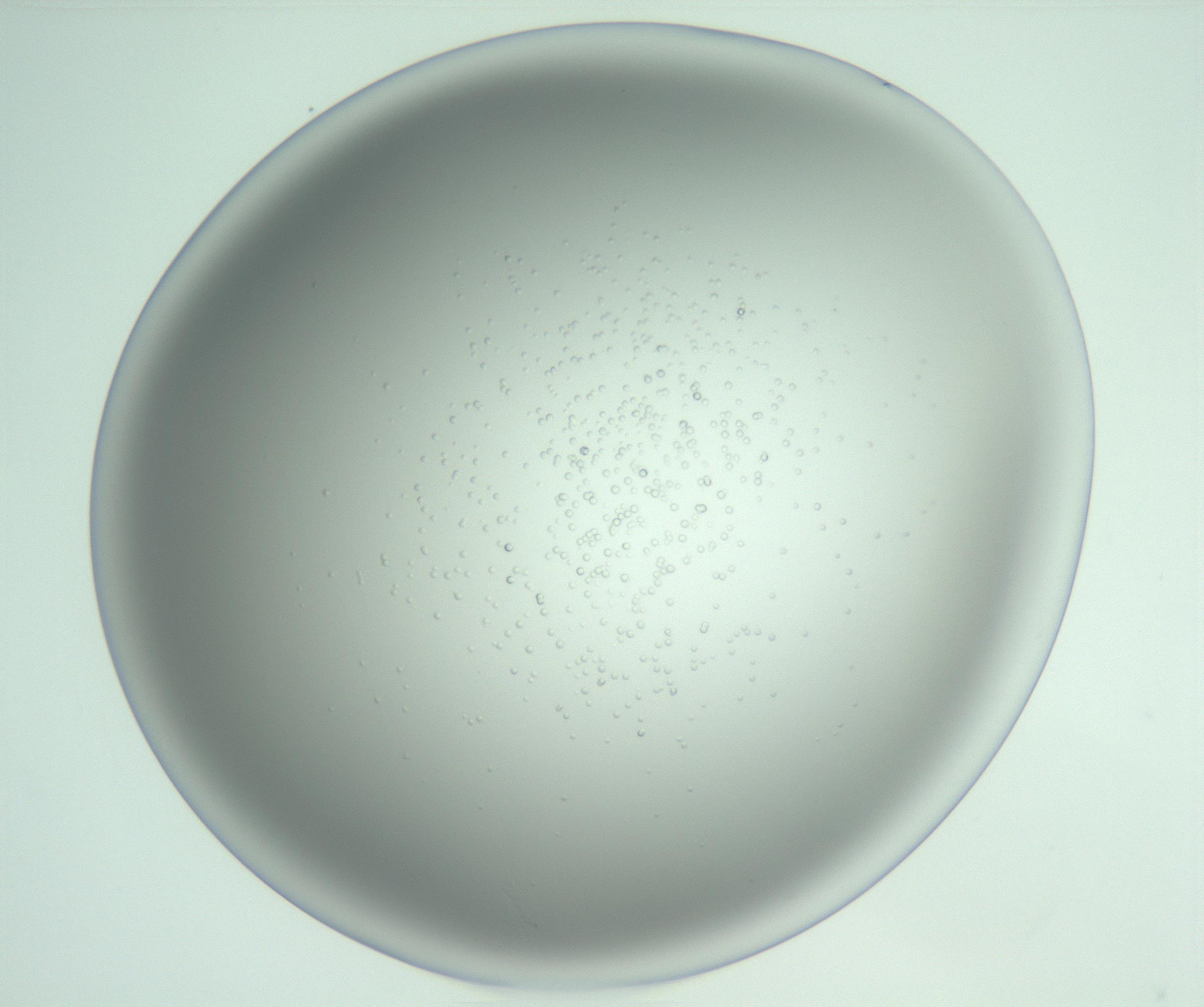 RI01_03_000_0212_Proj1_Clon1_MC_0000MC102744_015_161130_04_06_02_00_99_002_001_RAI.jpg