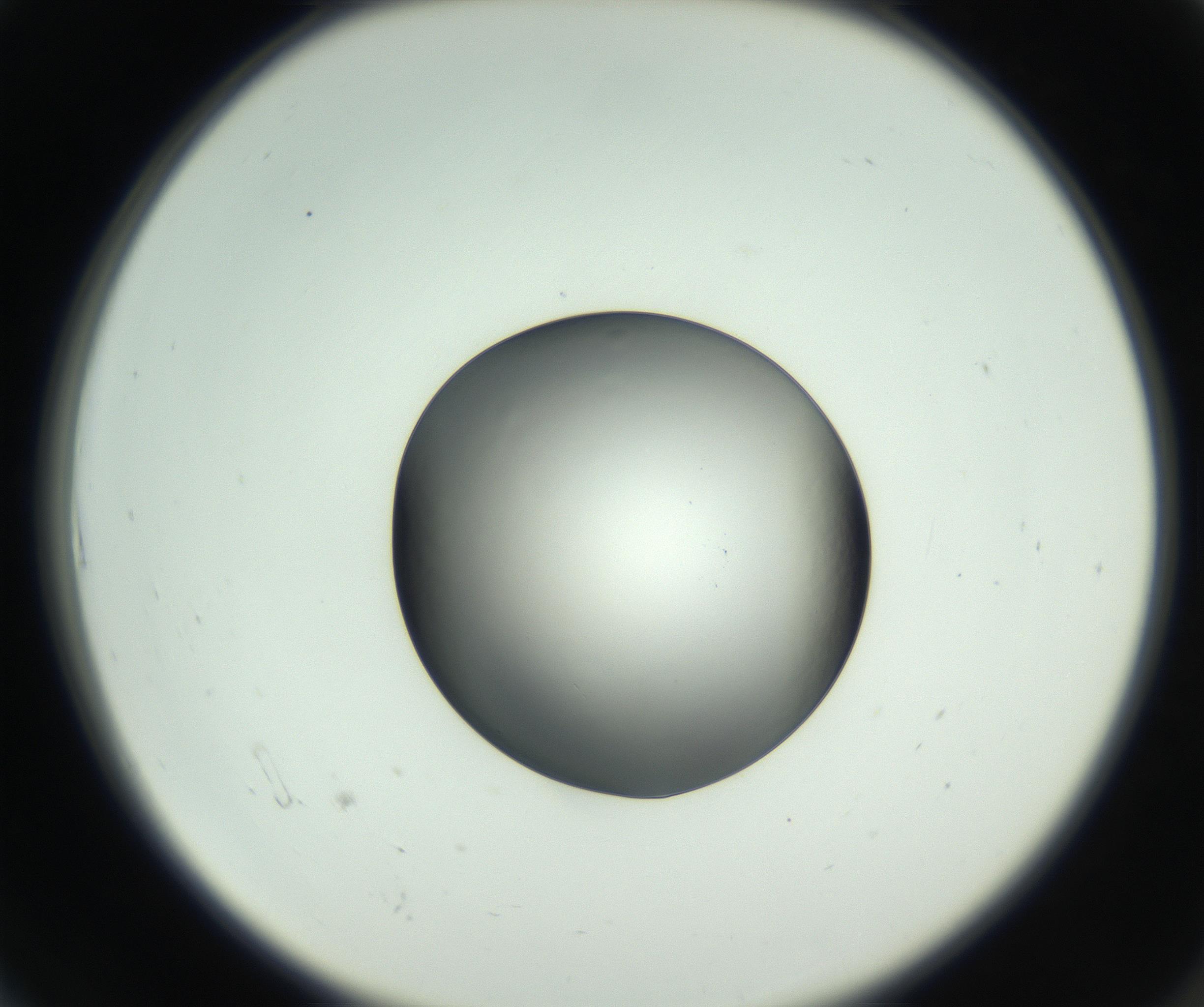 RI01_03_000_0212_Proj1_Clon1_MC_0000MC102745_002_160922_06_01_02_00_99_002_001_RAI.jpg