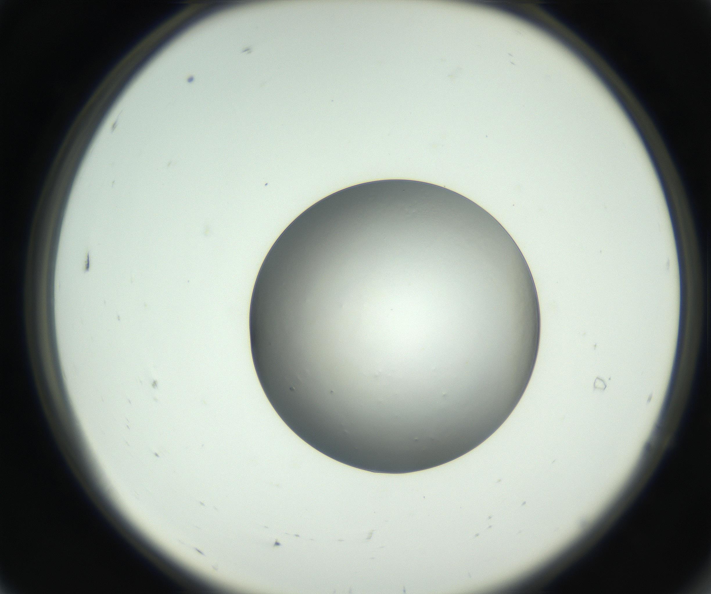 RI01_03_000_0212_Proj1_Clon1_MC_0000MC102745_002_160922_07_01_02_00_99_002_001_RAI.jpg