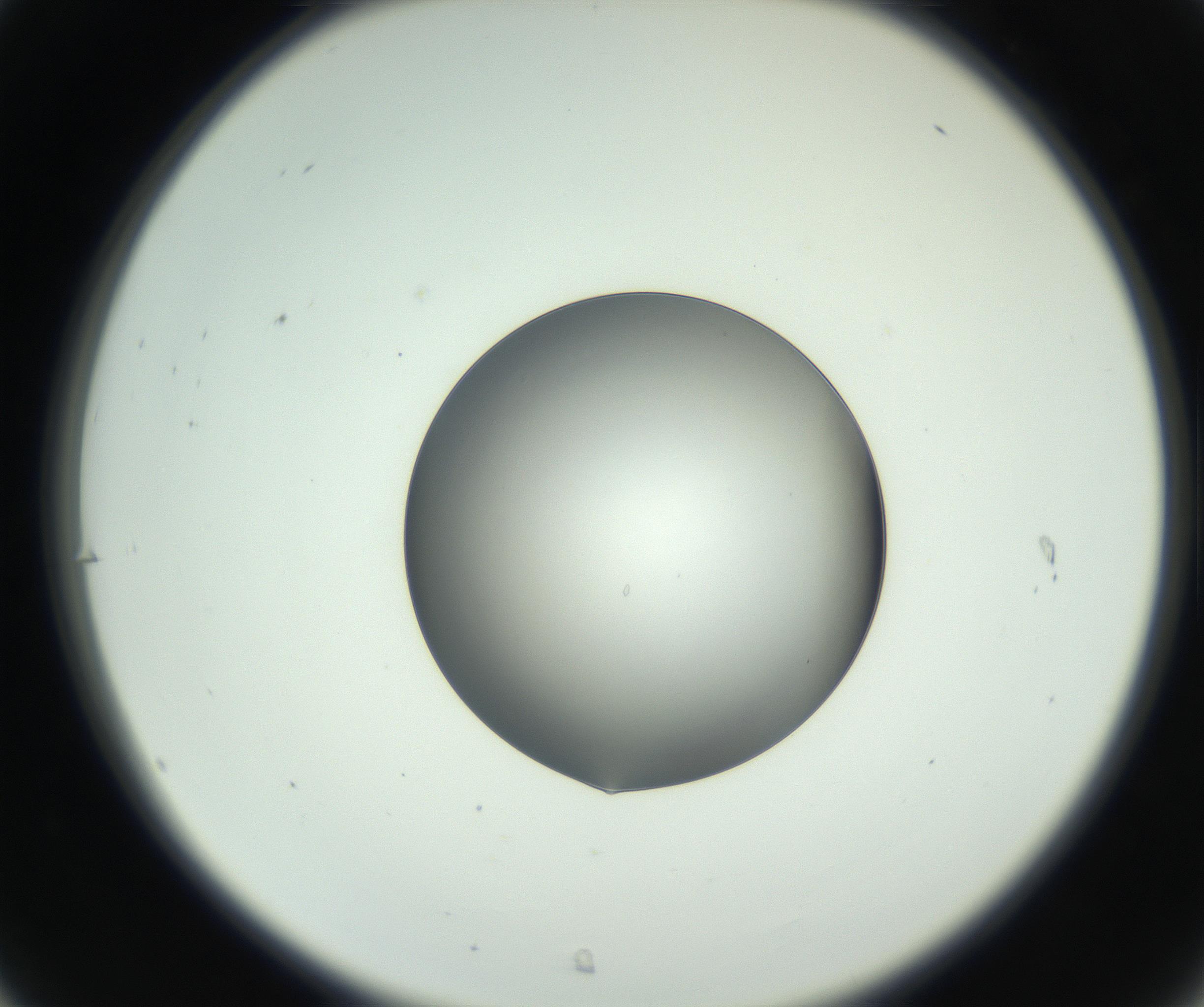 RI01_03_000_0212_Proj1_Clon1_MC_0000MC102745_002_160922_07_03_02_00_99_002_001_RAI.jpg