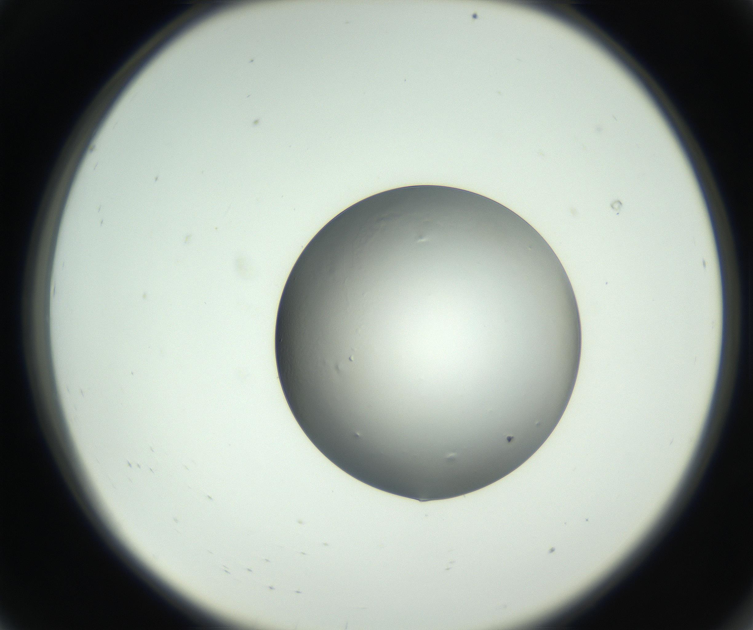RI01_03_000_0212_Proj1_Clon1_MC_0000MC102745_002_160922_08_01_02_00_99_002_001_RAI.jpg