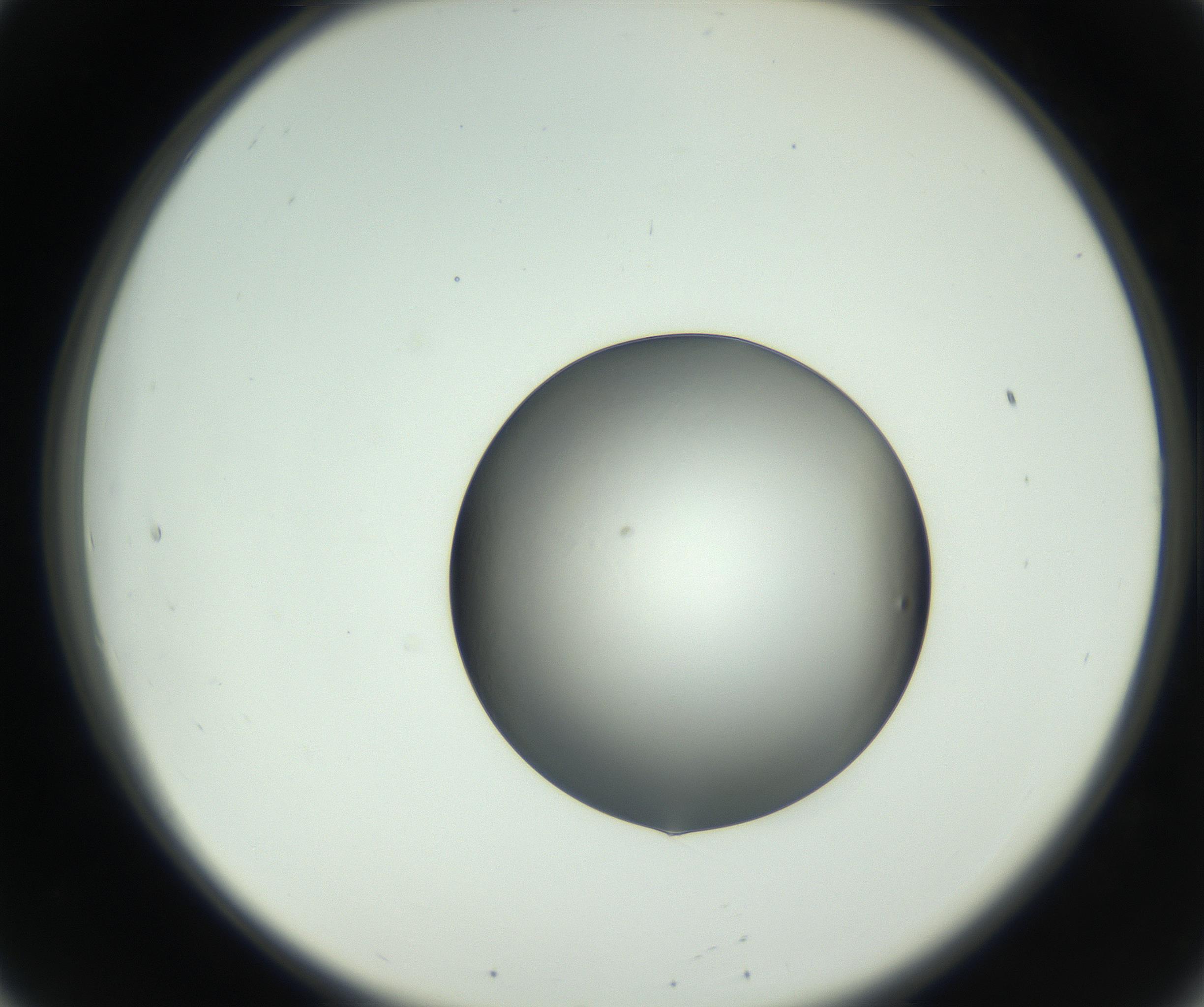 RI01_03_000_0212_Proj1_Clon1_MC_0000MC102745_002_160922_08_02_02_00_99_002_001_RAI.jpg