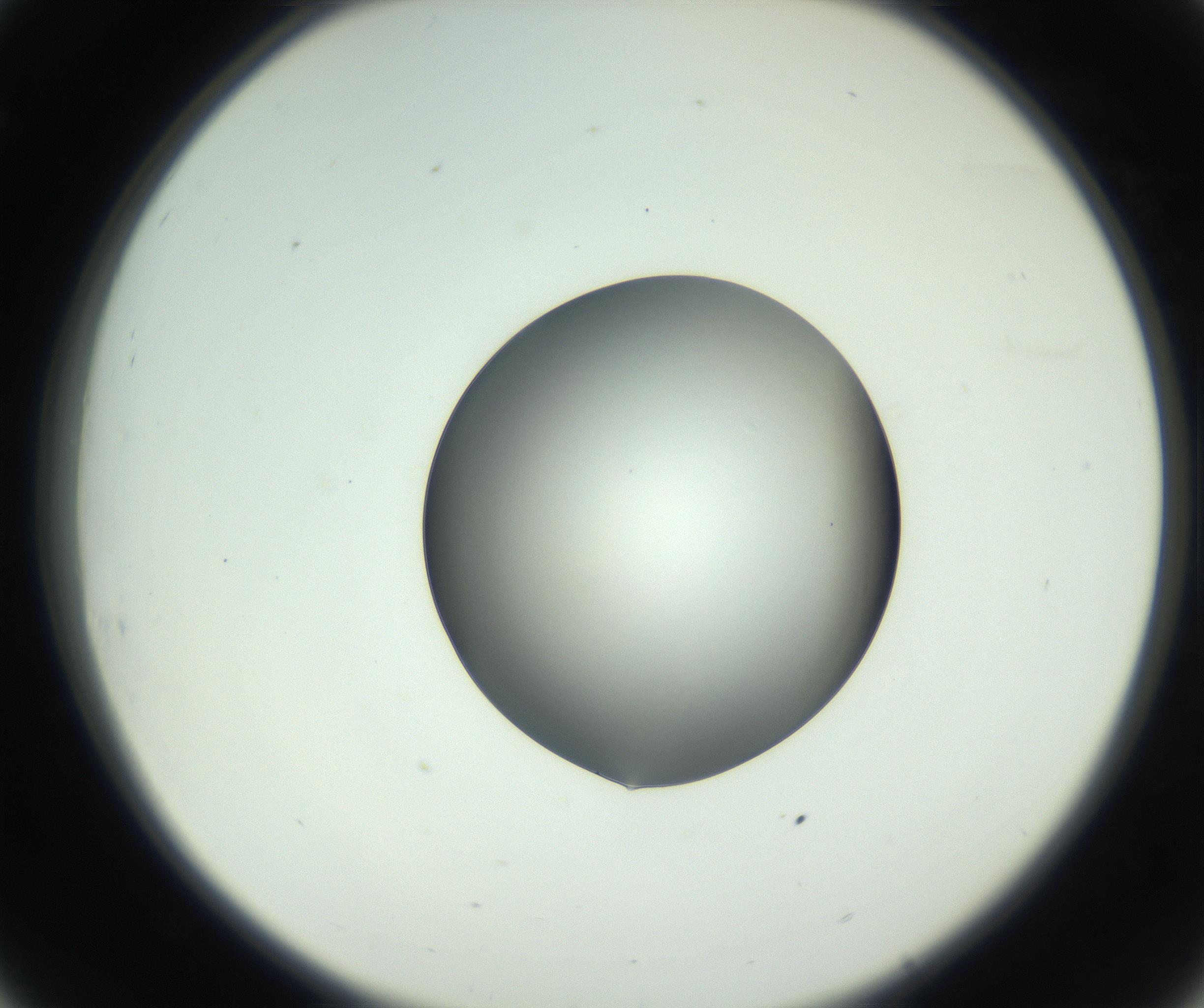 RI01_03_000_0212_Proj1_Clon1_MC_0000MC102745_002_160922_08_03_02_00_99_002_001_RAI.jpg