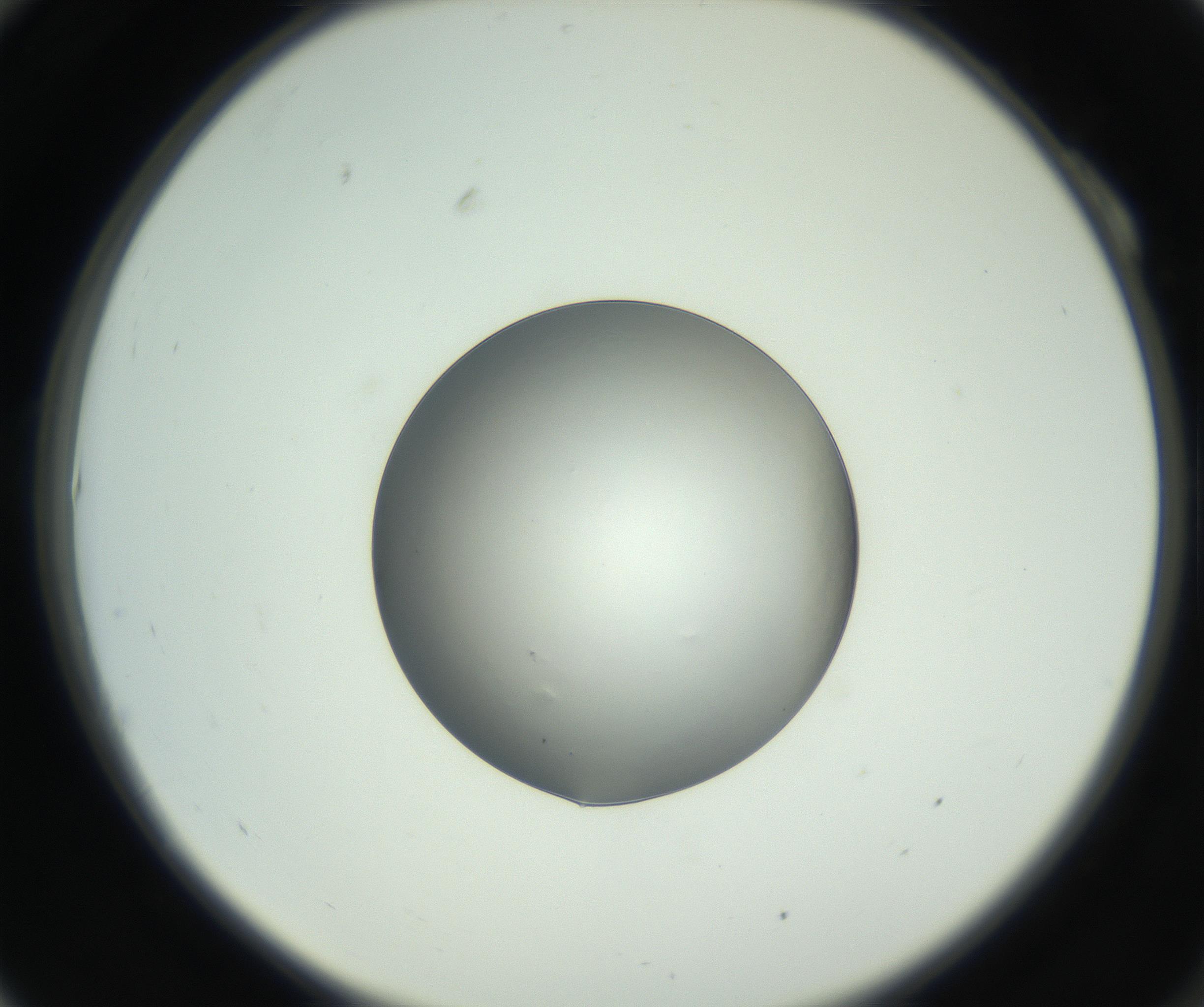 RI01_03_000_0212_Proj1_Clon1_MC_0000MC102745_002_160922_10_01_02_00_99_002_001_RAI.jpg