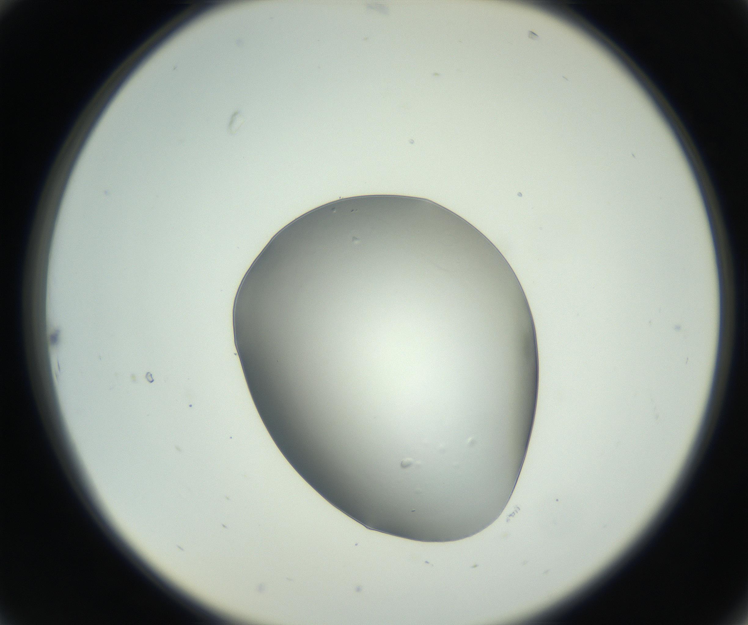 RI01_03_000_0212_Proj1_Clon1_MC_0000MC102745_002_160922_10_02_02_00_99_002_001_RAI.jpg