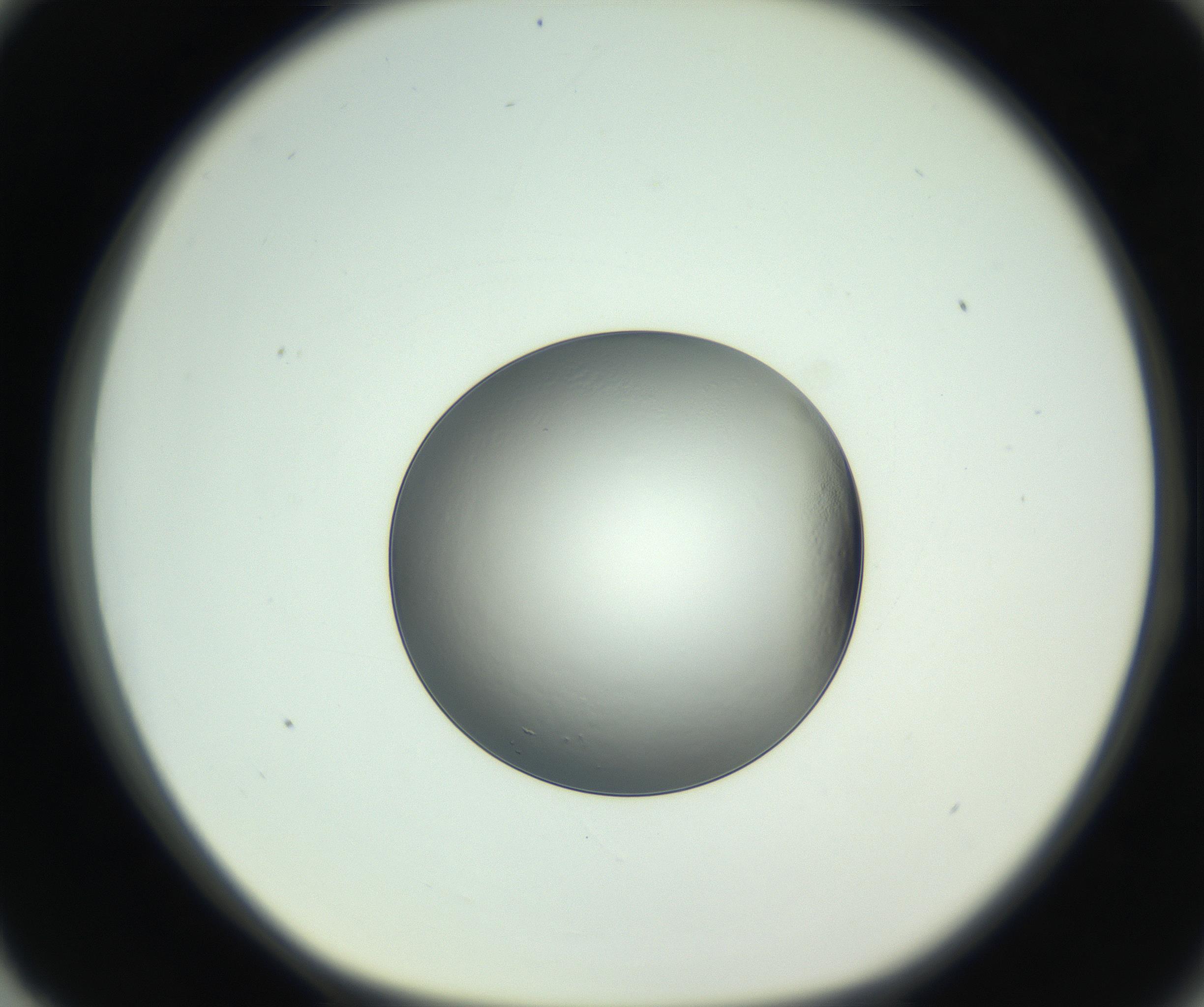 RI01_03_000_0212_Proj1_Clon1_MC_0000MC102745_005_160927_03_08_01_00_99_002_001_RAI.jpg