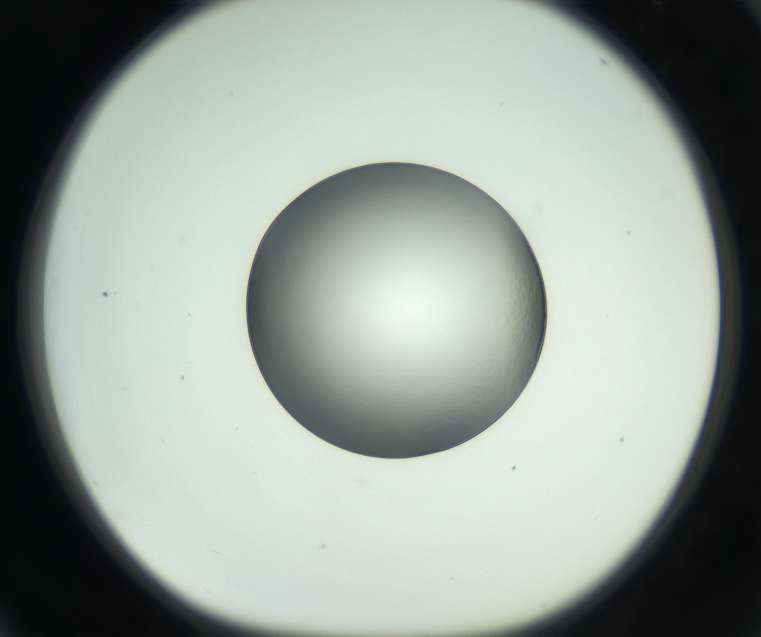 RI01_03_000_0212_Proj1_Clon1_MC_0000MC102745_005_160927_04_06_01_00_99_002_001_RAI.jpg