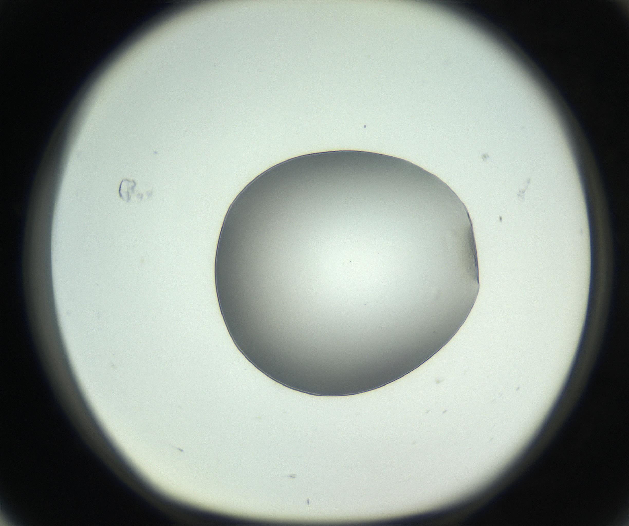 RI01_03_000_0212_Proj1_Clon1_MC_0000MC102745_005_160927_04_07_01_00_99_002_001_RAI.jpg
