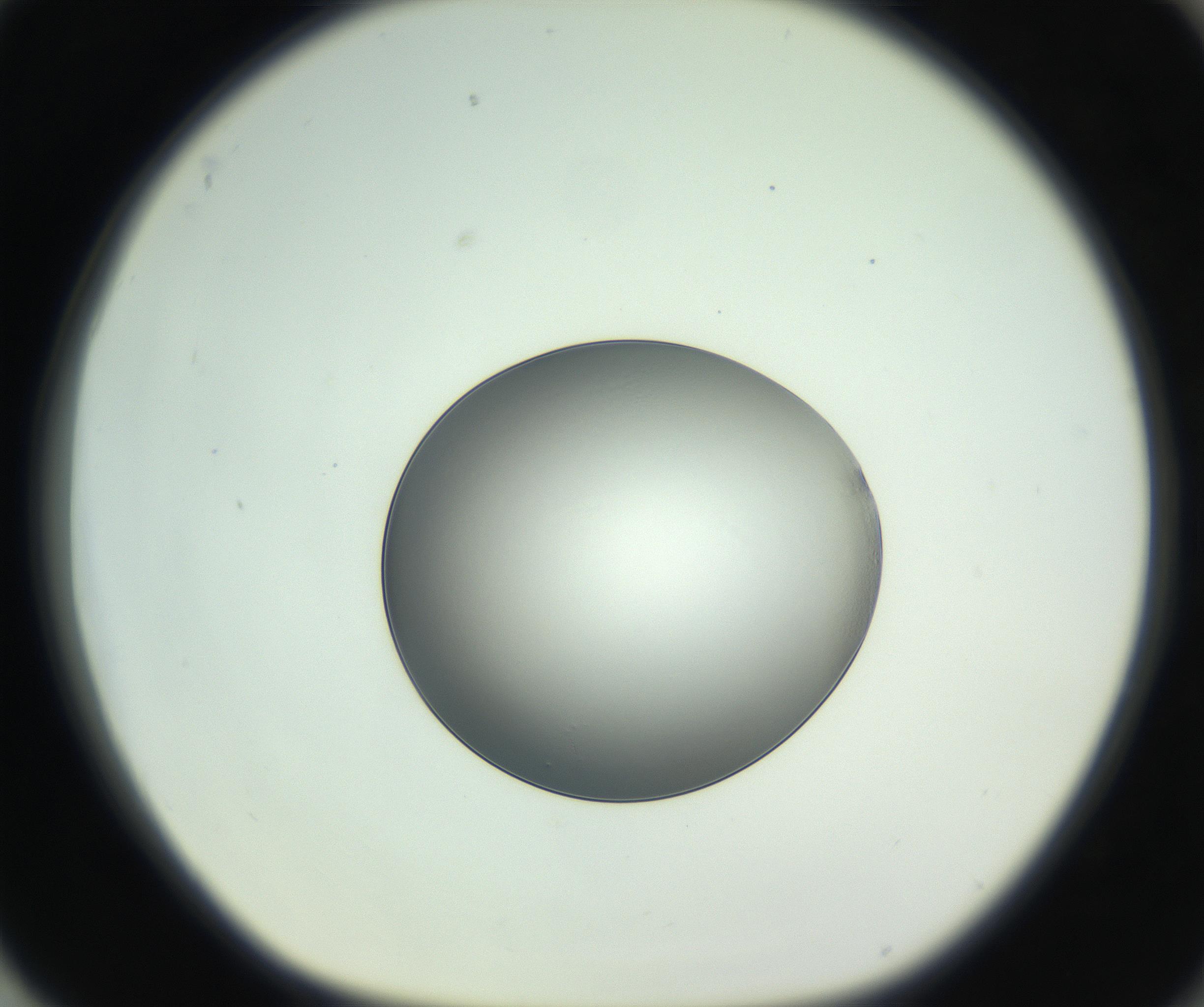 RI01_03_000_0212_Proj1_Clon1_MC_0000MC102745_005_160927_04_08_01_00_99_002_001_RAI.jpg