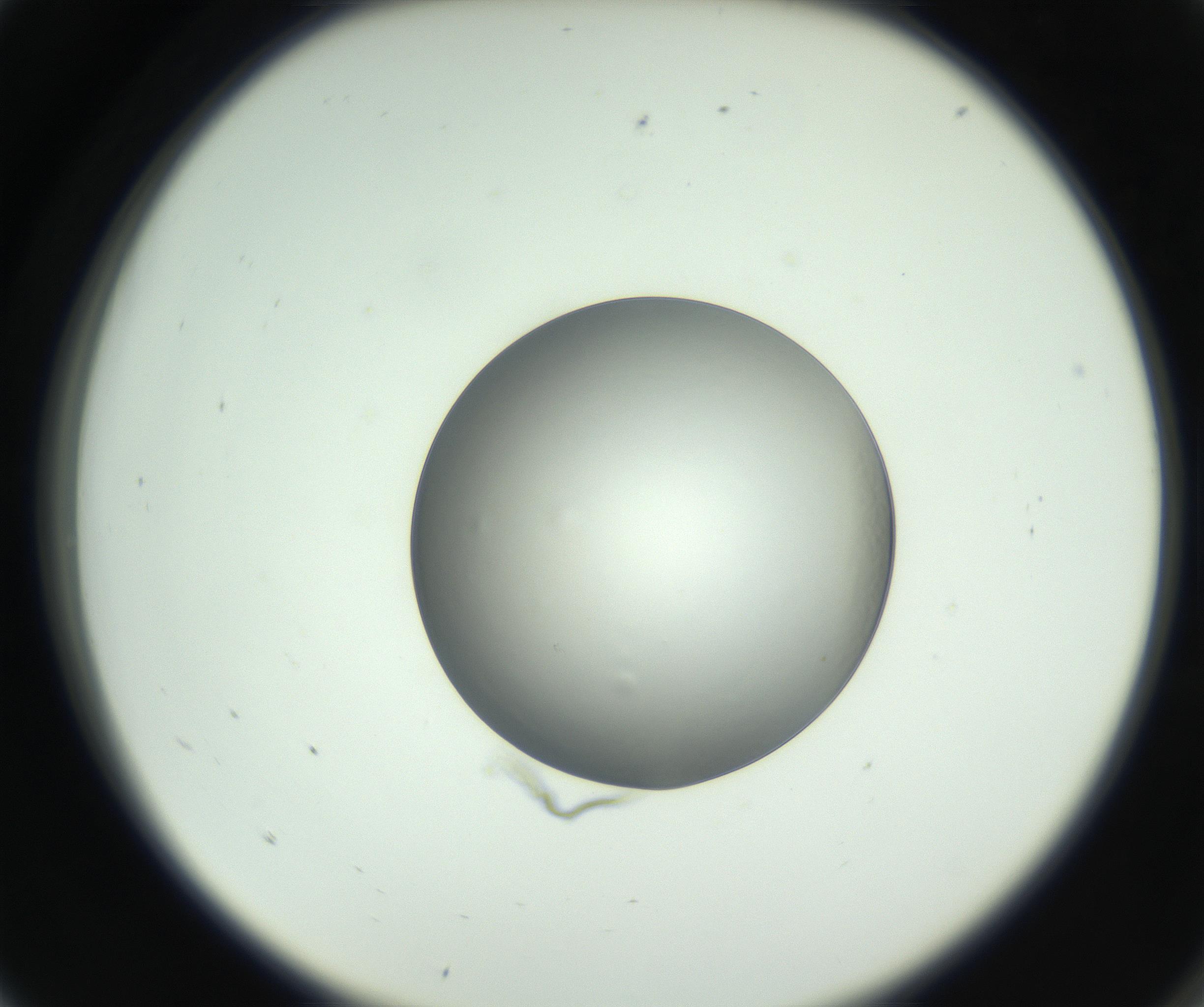 RI01_03_000_0212_Proj1_Clon1_MC_0000MC102745_005_160927_05_01_02_00_99_002_001_RAI.jpg
