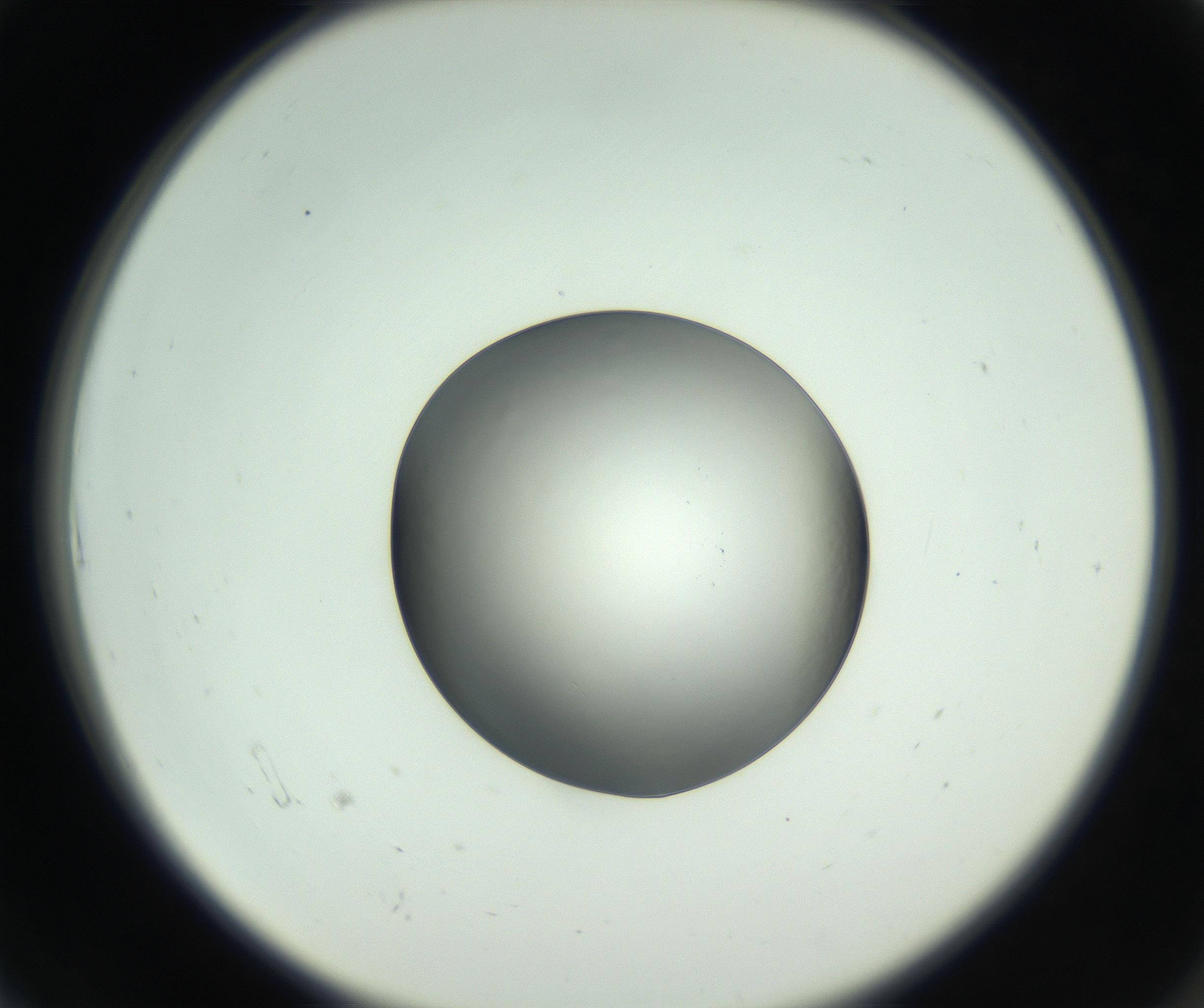 RI01_03_000_0212_Proj1_Clon1_MC_0000MC102745_005_160927_06_01_02_00_99_002_001_RAI.jpg