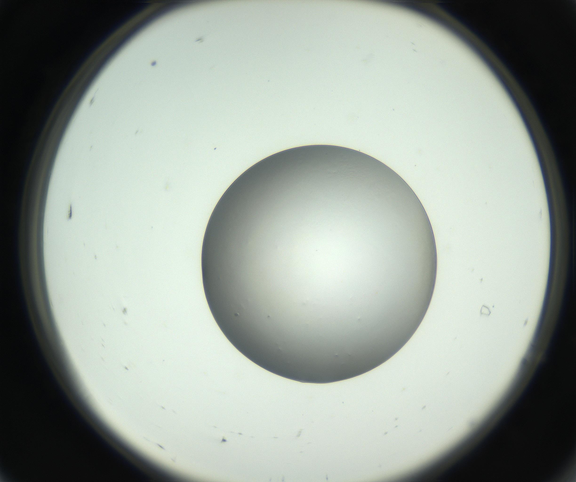RI01_03_000_0212_Proj1_Clon1_MC_0000MC102745_005_160927_07_01_02_00_99_002_001_RAI.jpg