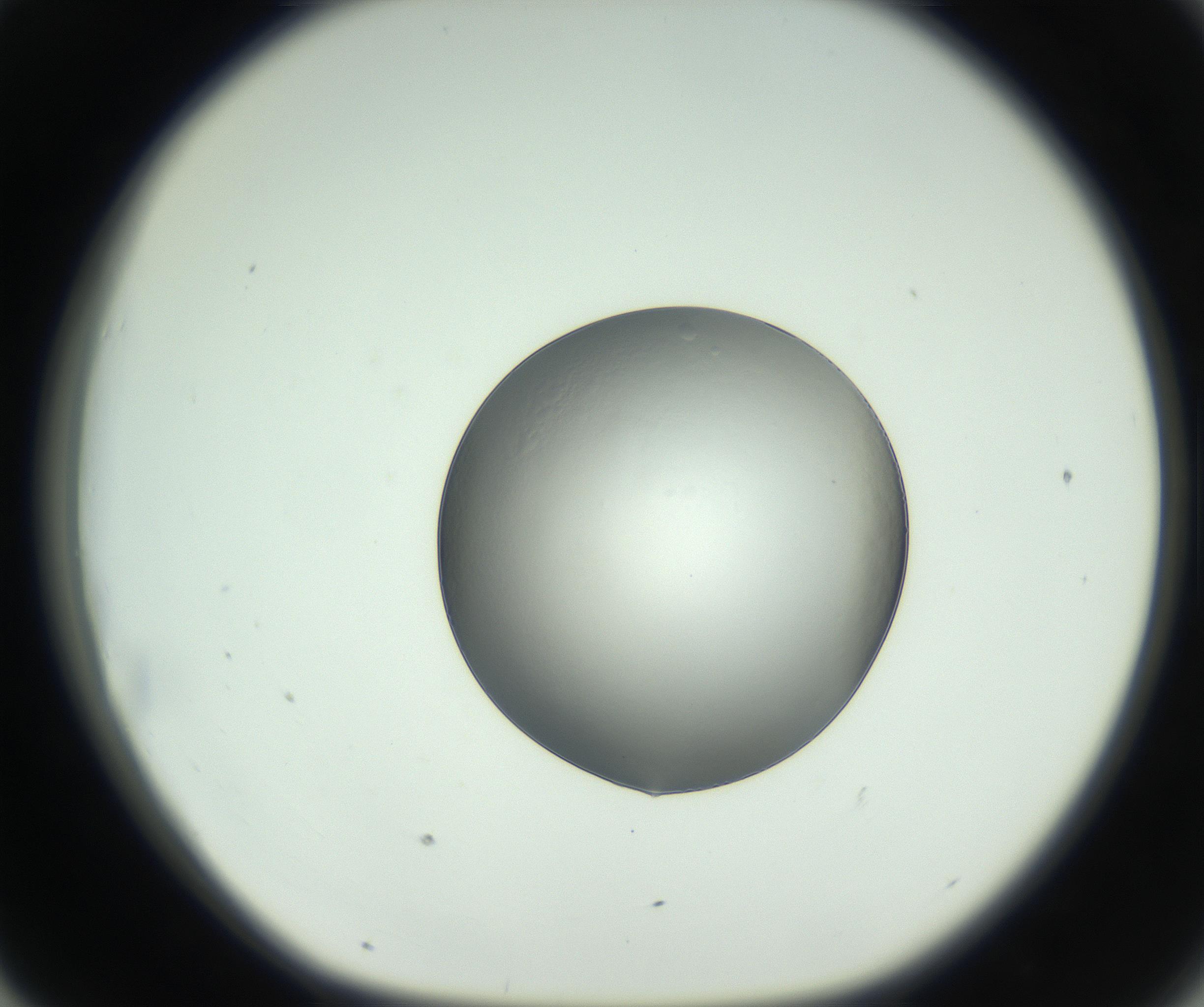RI01_03_000_0212_Proj1_Clon1_MC_0000MC102745_005_160927_07_04_01_00_99_002_001_RAI.jpg