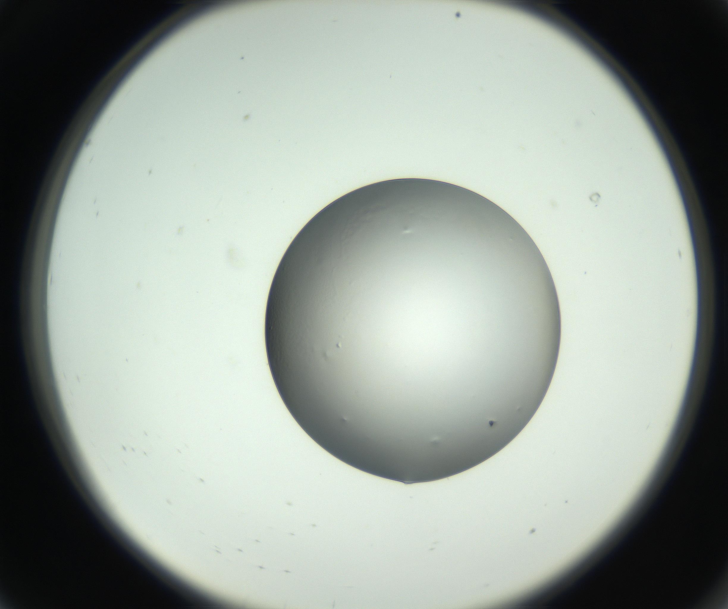 RI01_03_000_0212_Proj1_Clon1_MC_0000MC102745_005_160927_08_01_02_00_99_002_001_RAI.jpg