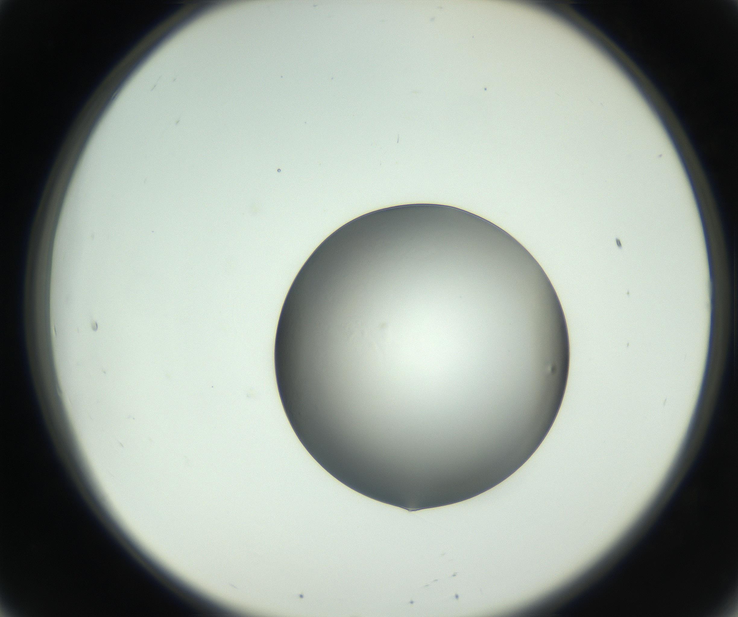 RI01_03_000_0212_Proj1_Clon1_MC_0000MC102745_005_160927_08_02_02_00_99_002_001_RAI.jpg