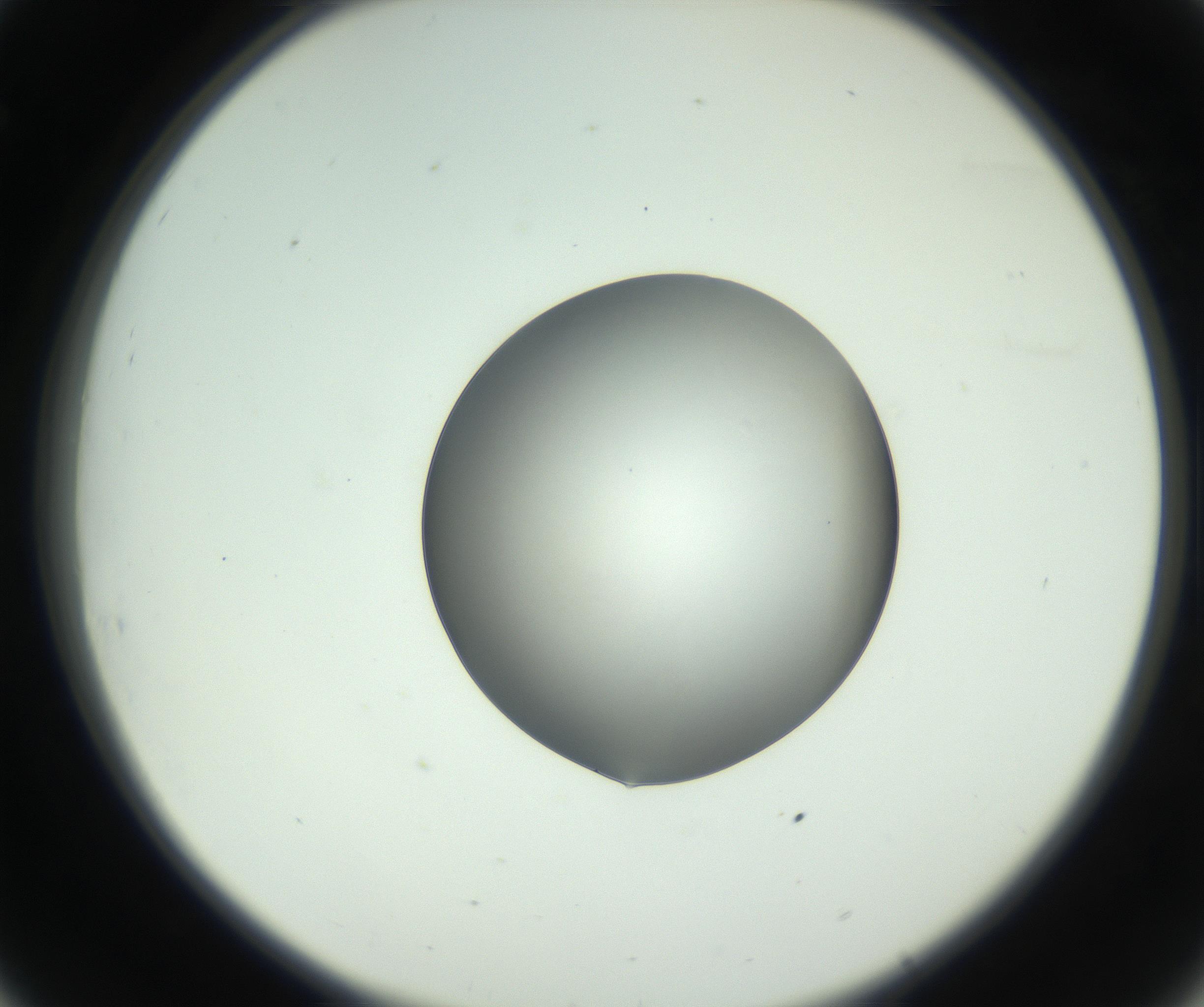 RI01_03_000_0212_Proj1_Clon1_MC_0000MC102745_005_160927_08_03_02_00_99_002_001_RAI.jpg