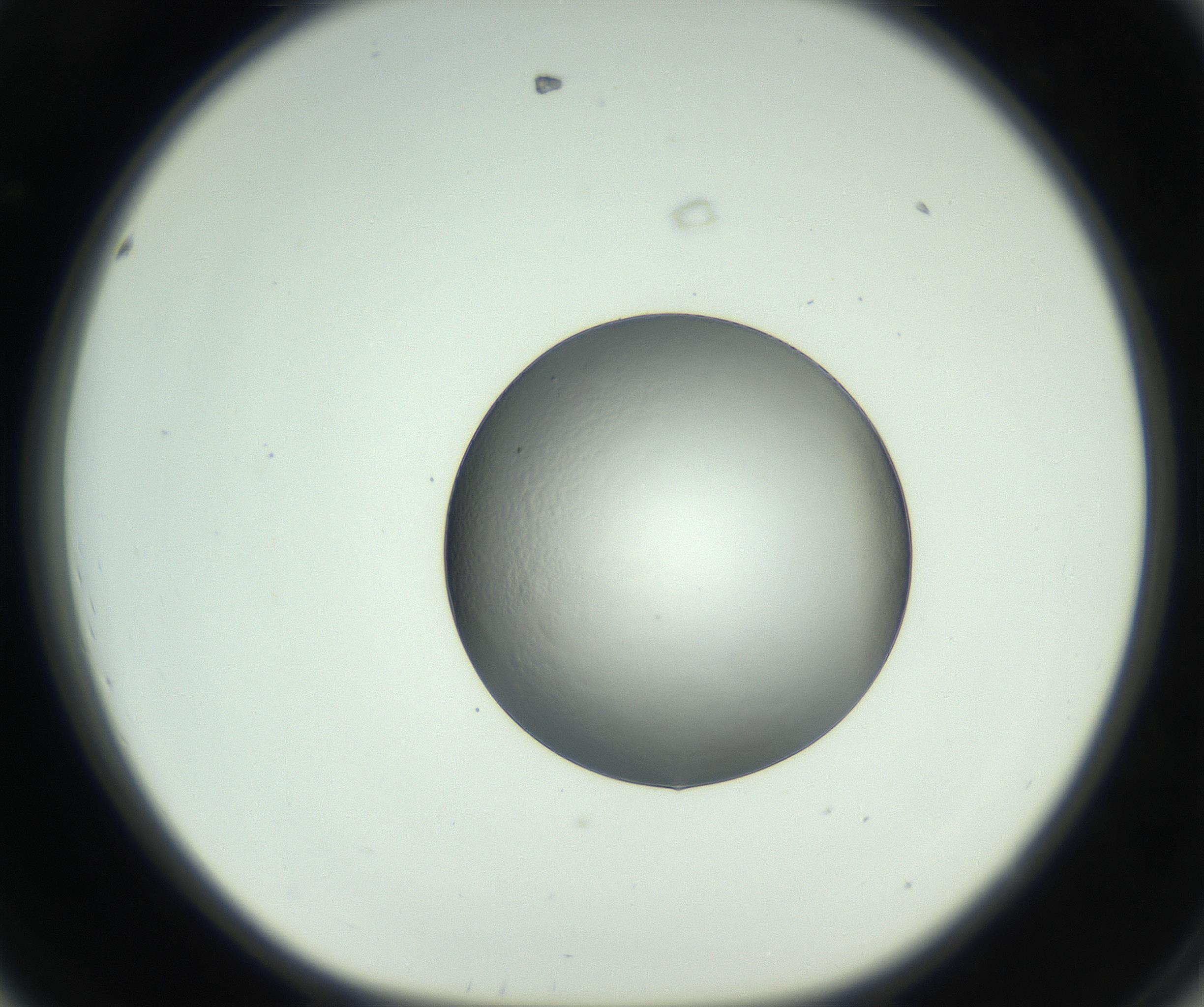 RI01_03_000_0212_Proj1_Clon1_MC_0000MC102745_005_160927_08_04_01_00_99_002_001_RAI.jpg