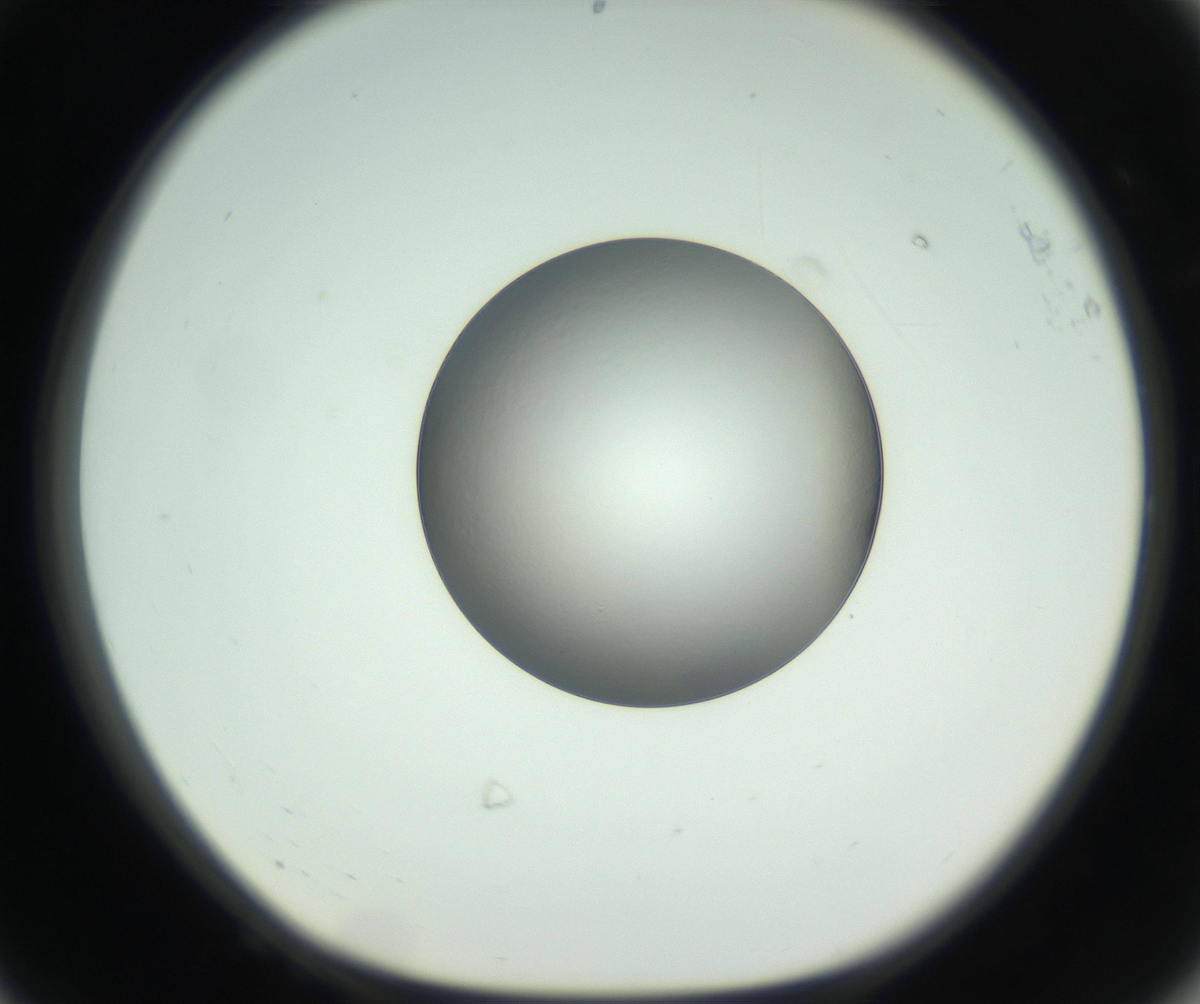 RI01_03_000_0212_Proj1_Clon1_MC_0000MC102745_005_160927_08_06_01_00_99_002_001_RAI.jpg