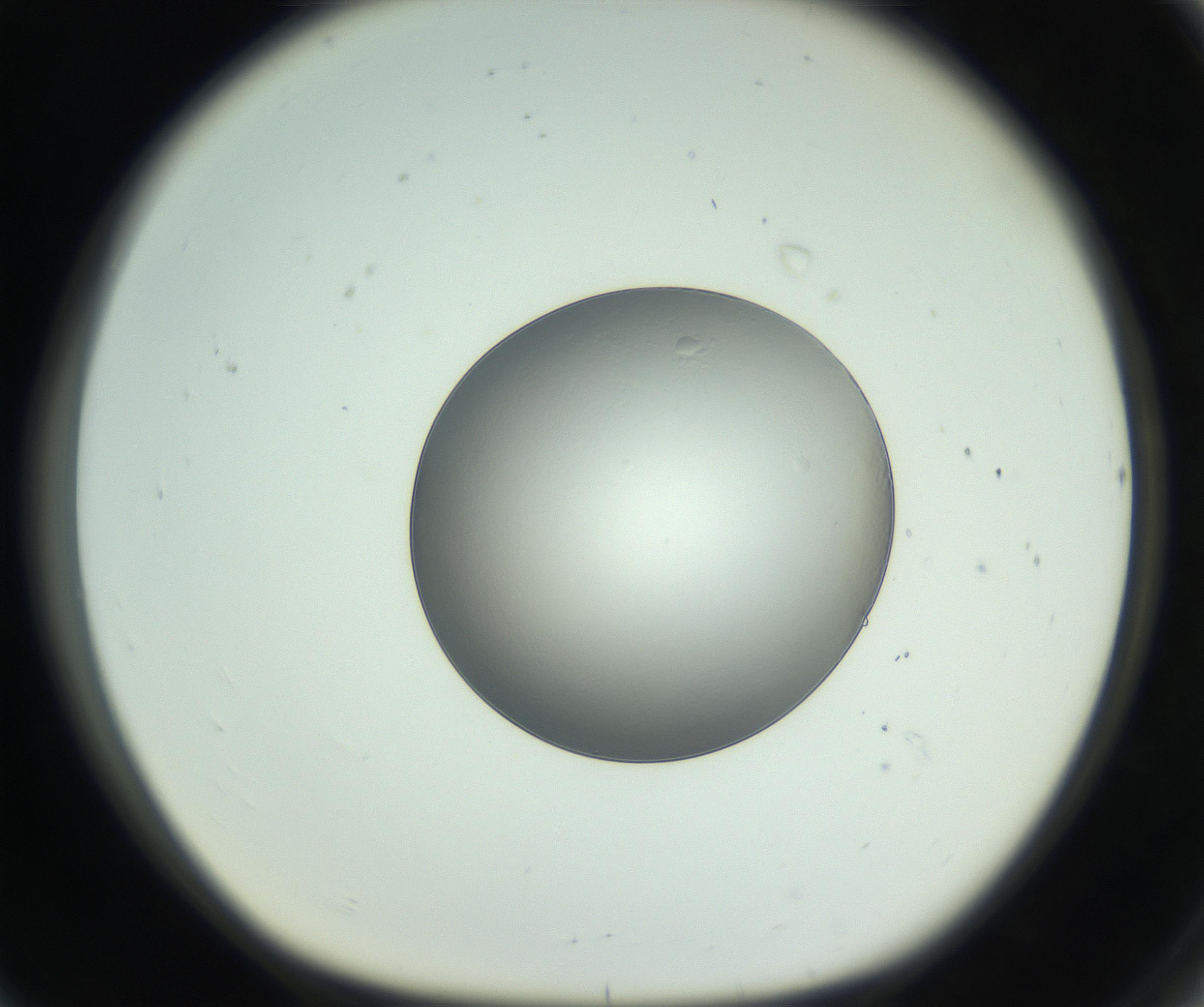 RI01_03_000_0212_Proj1_Clon1_MC_0000MC102745_005_160927_08_07_01_00_99_002_001_RAI.jpg