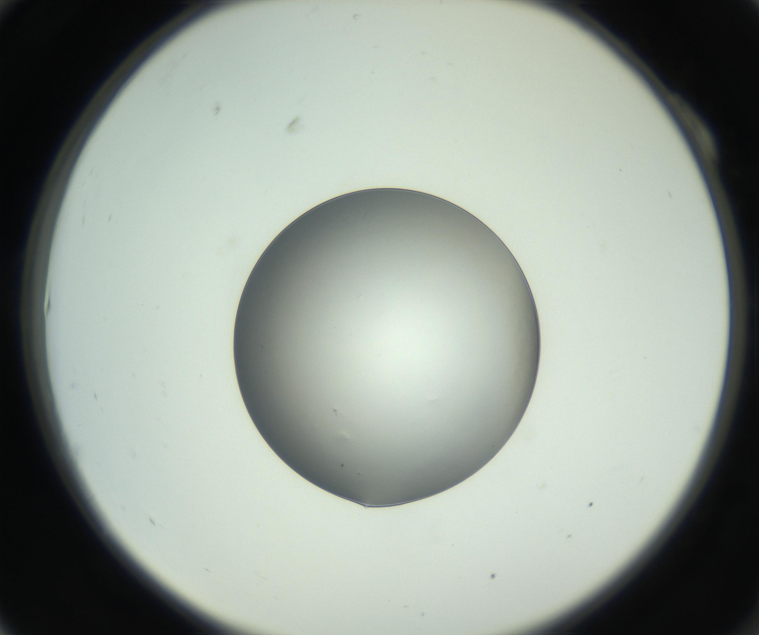 RI01_03_000_0212_Proj1_Clon1_MC_0000MC102745_005_160927_10_01_02_00_99_002_001_RAI.jpg