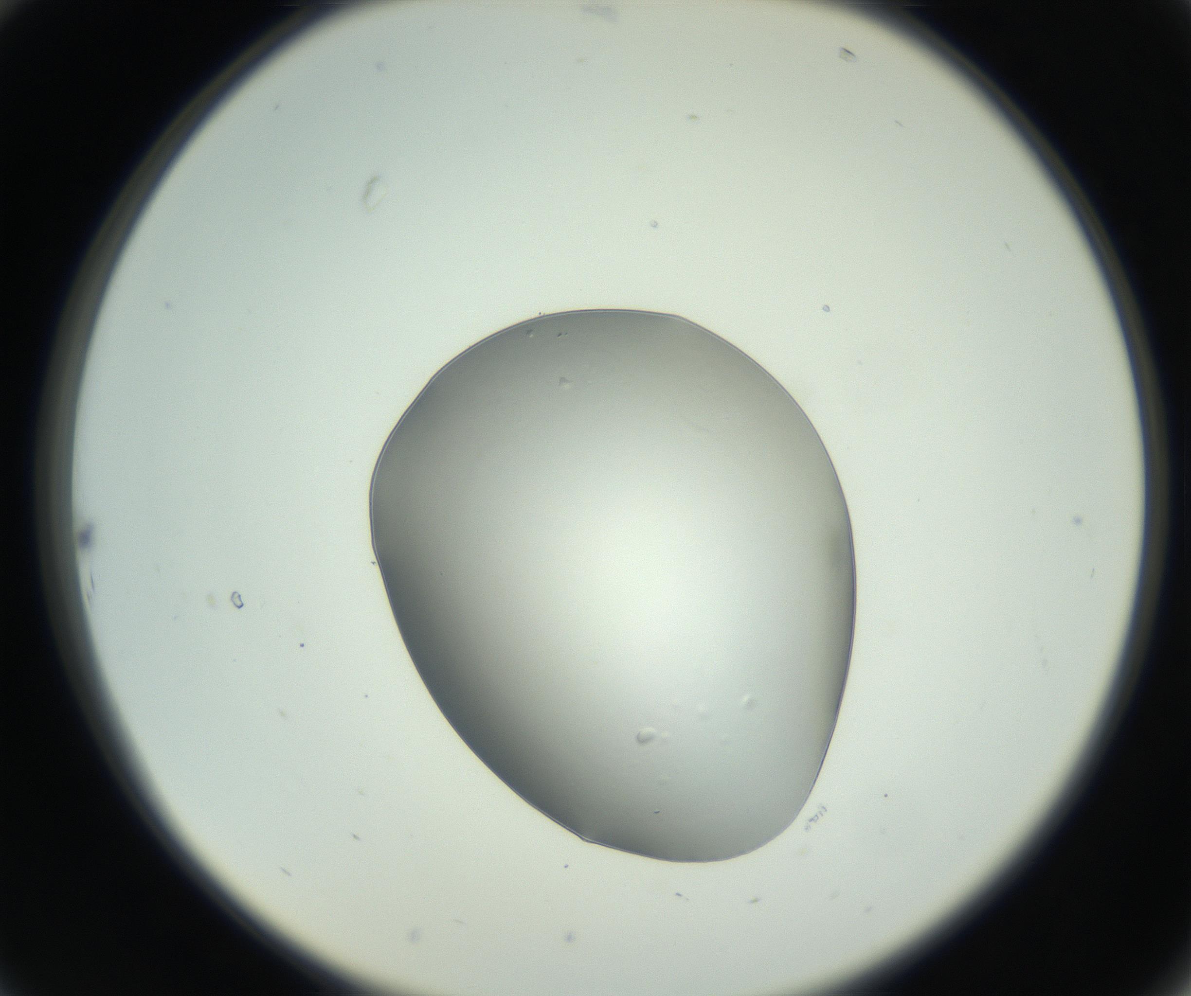 RI01_03_000_0212_Proj1_Clon1_MC_0000MC102745_005_160927_10_02_02_00_99_002_001_RAI.jpg