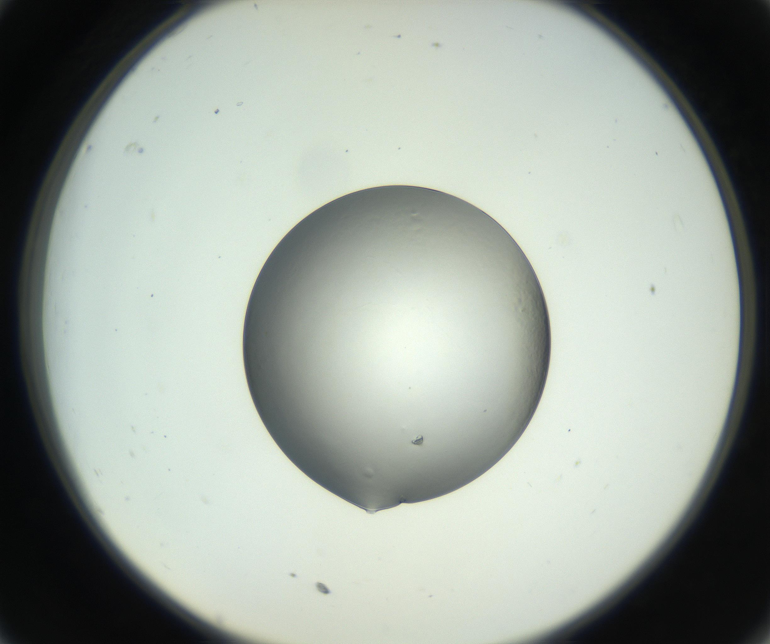 RI01_03_000_0212_Proj1_Clon1_MC_0000MC102745_005_160927_11_03_02_00_99_002_001_RAI.jpg