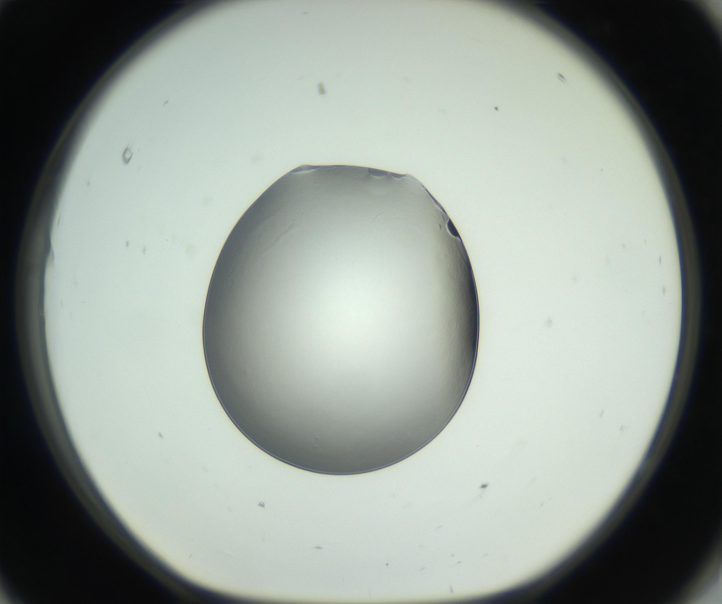 RI01_03_000_0212_Proj1_Clon1_MC_0000MC102745_005_160927_11_08_01_00_99_002_001_RAI.jpg