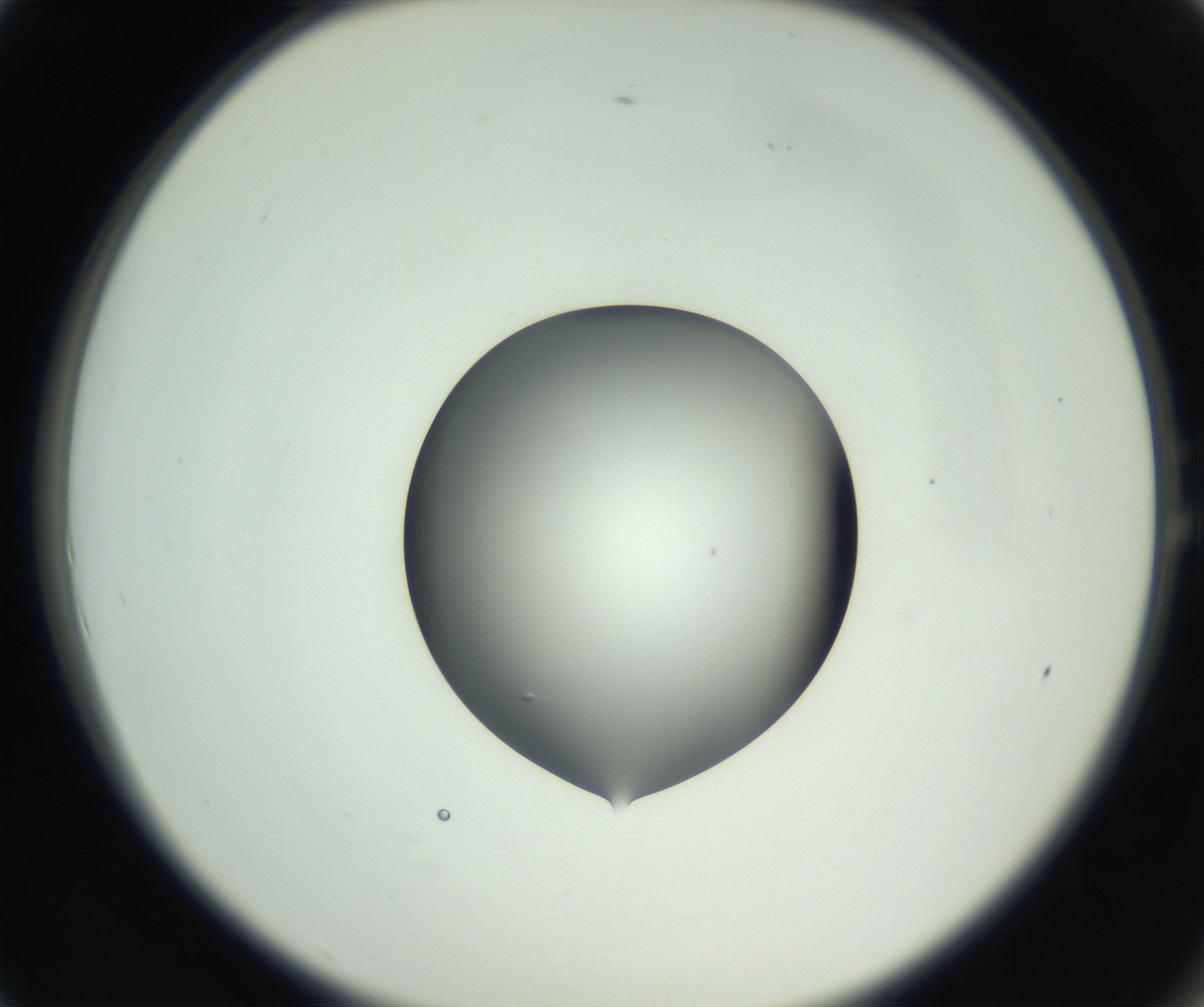 RI01_03_000_0212_Proj1_Clon1_MC_0000MC102746_002_160922_01_01_02_00_99_002_001_RAI.jpg