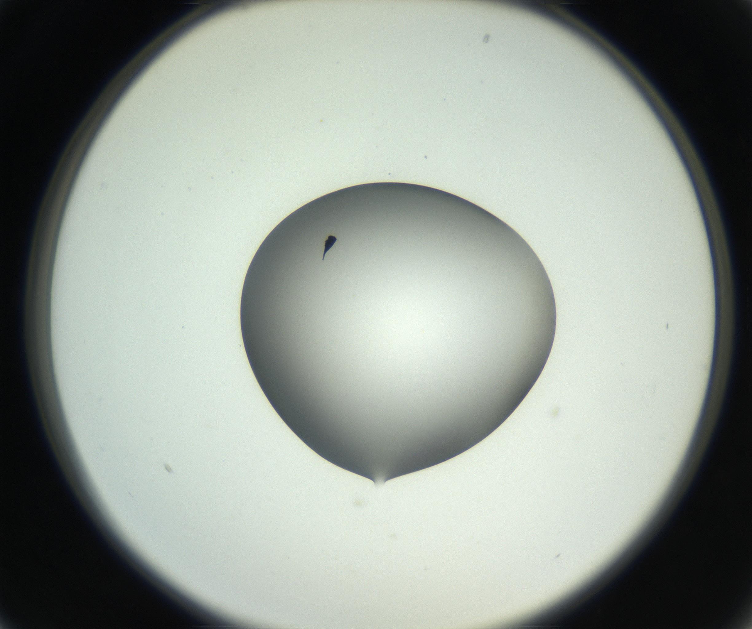 RI01_03_000_0212_Proj1_Clon1_MC_0000MC102746_002_160922_01_02_02_00_99_002_001_RAI.jpg
