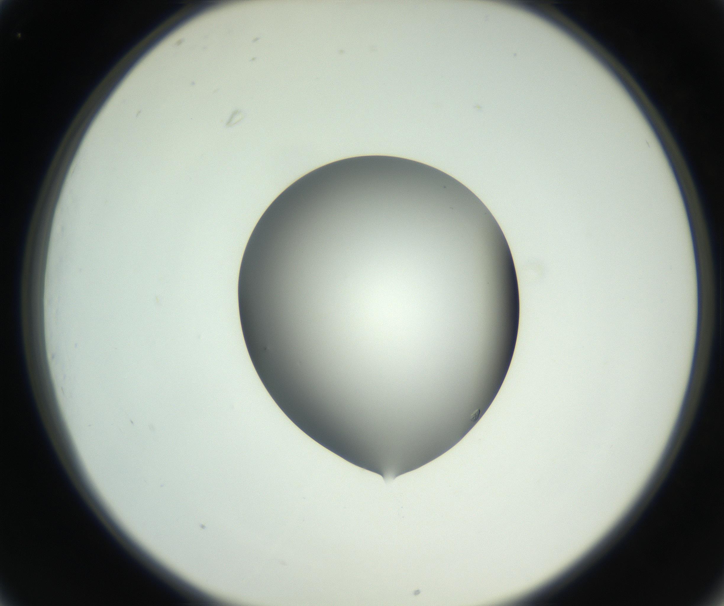 RI01_03_000_0212_Proj1_Clon1_MC_0000MC102746_002_160922_01_03_02_00_99_002_001_RAI.jpg