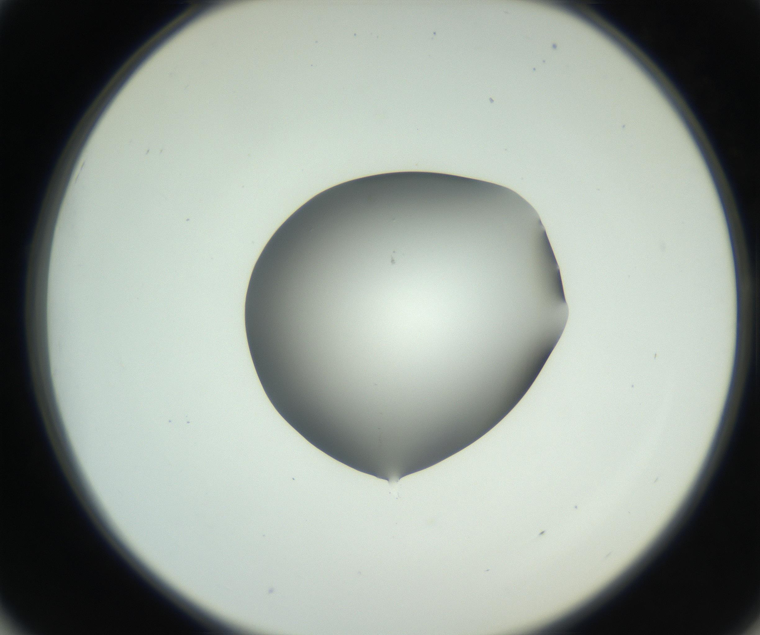 RI01_03_000_0212_Proj1_Clon1_MC_0000MC102746_002_160922_01_05_02_00_99_002_001_RAI.jpg