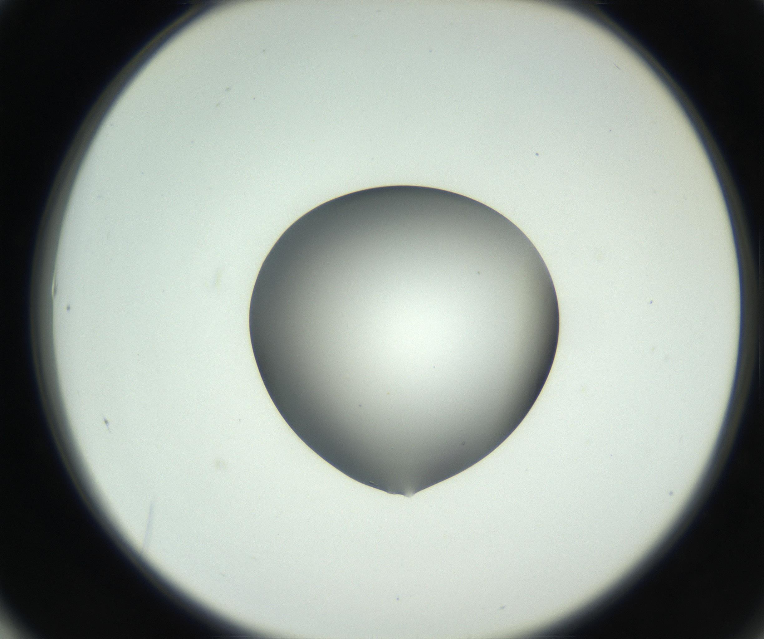 RI01_03_000_0212_Proj1_Clon1_MC_0000MC102746_002_160922_01_06_02_00_99_002_001_RAI.jpg