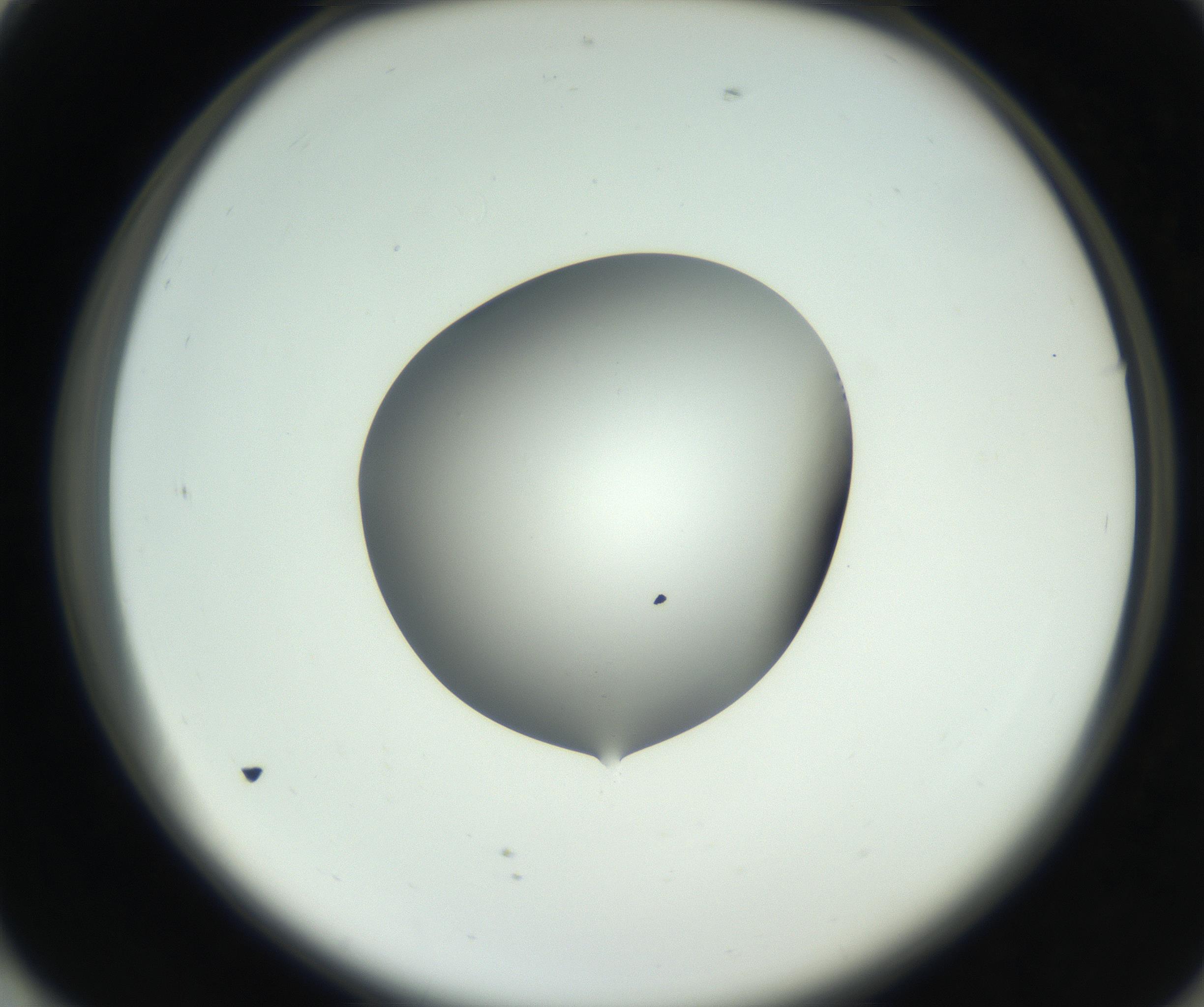 RI01_03_000_0212_Proj1_Clon1_MC_0000MC102746_002_160922_01_07_02_00_99_002_001_RAI.jpg