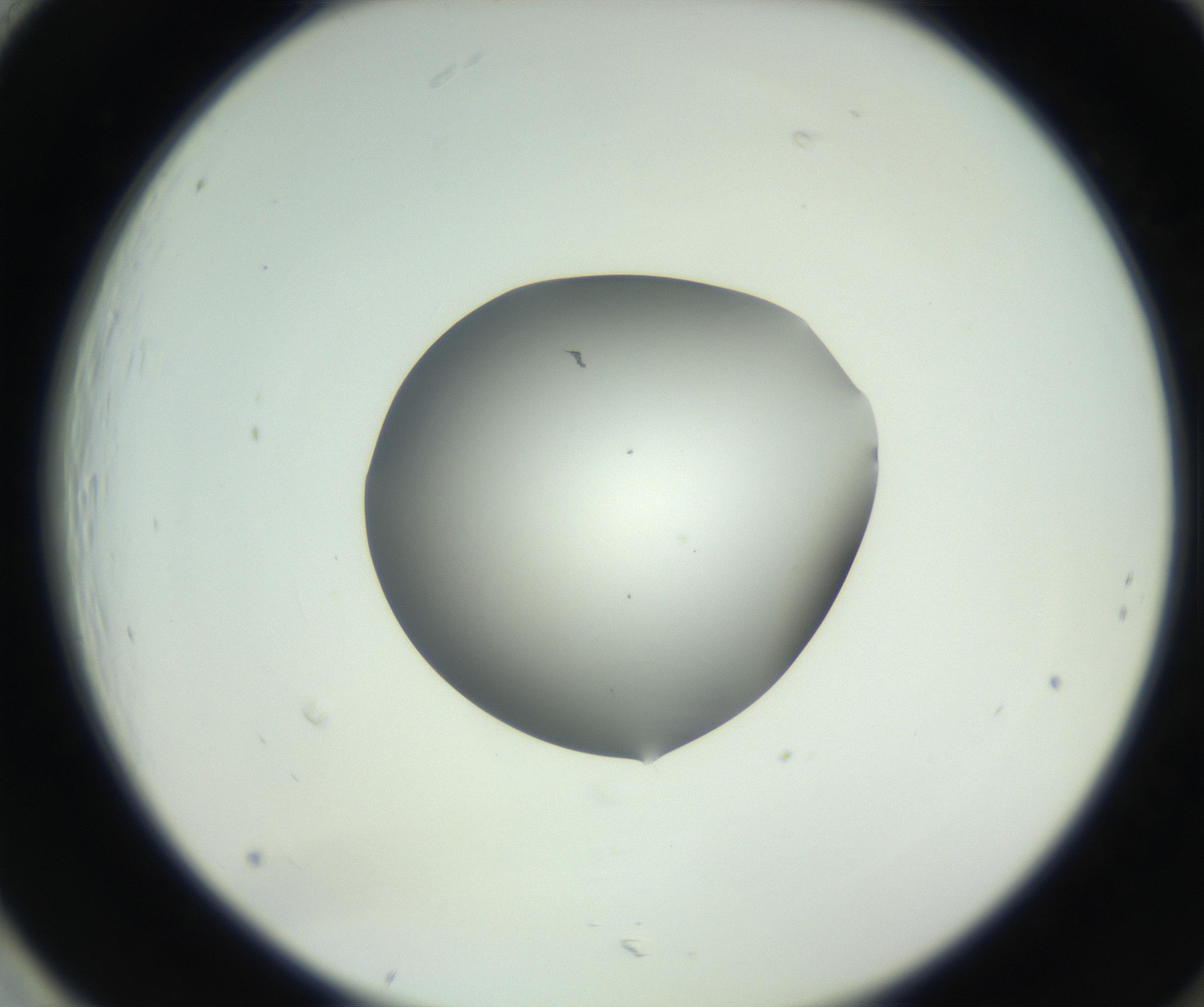 RI01_03_000_0212_Proj1_Clon1_MC_0000MC102746_002_160922_01_08_02_00_99_002_001_RAI.jpg