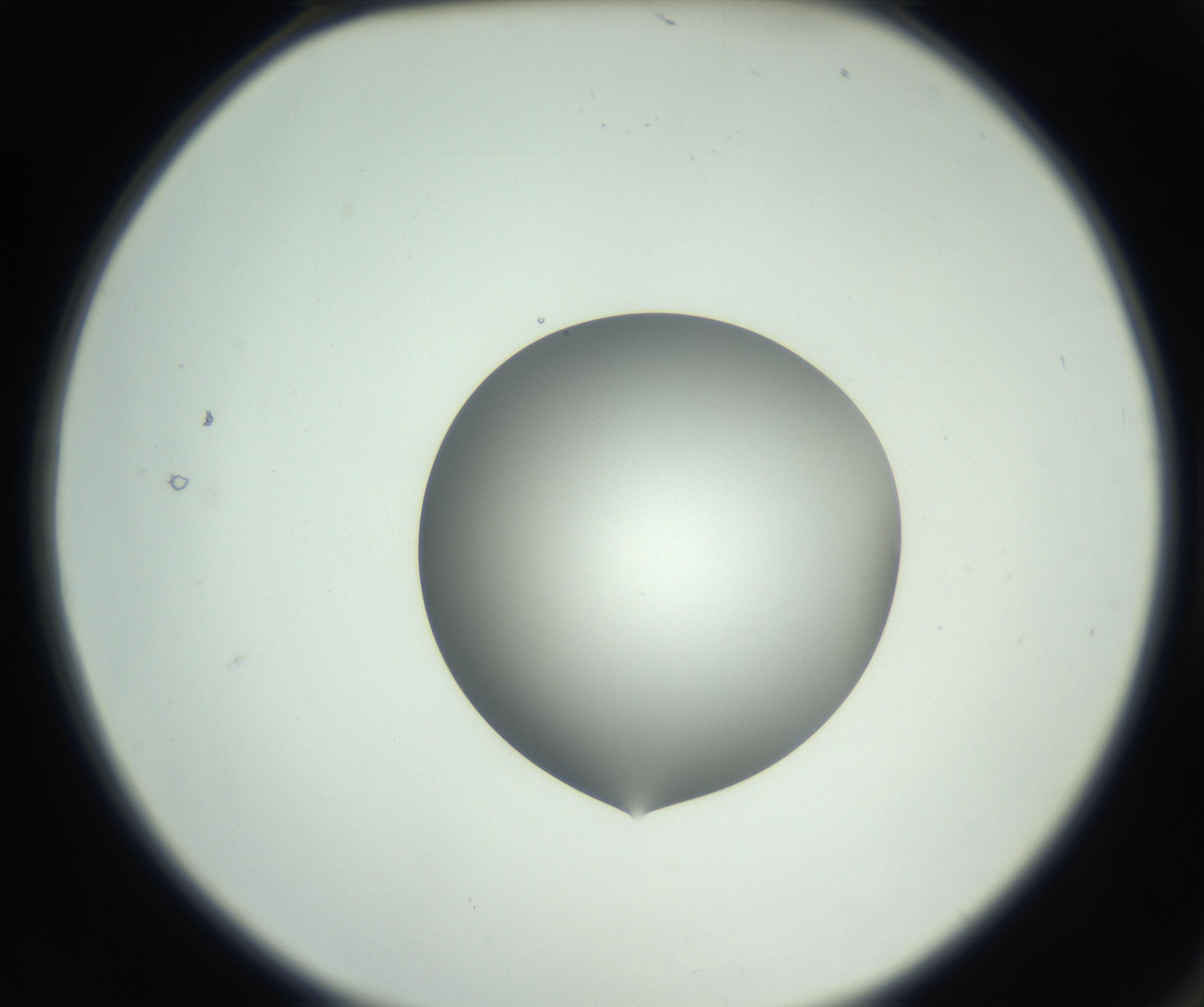RI01_03_000_0212_Proj1_Clon1_MC_0000MC102746_002_160922_02_01_02_00_99_002_001_RAI.jpg