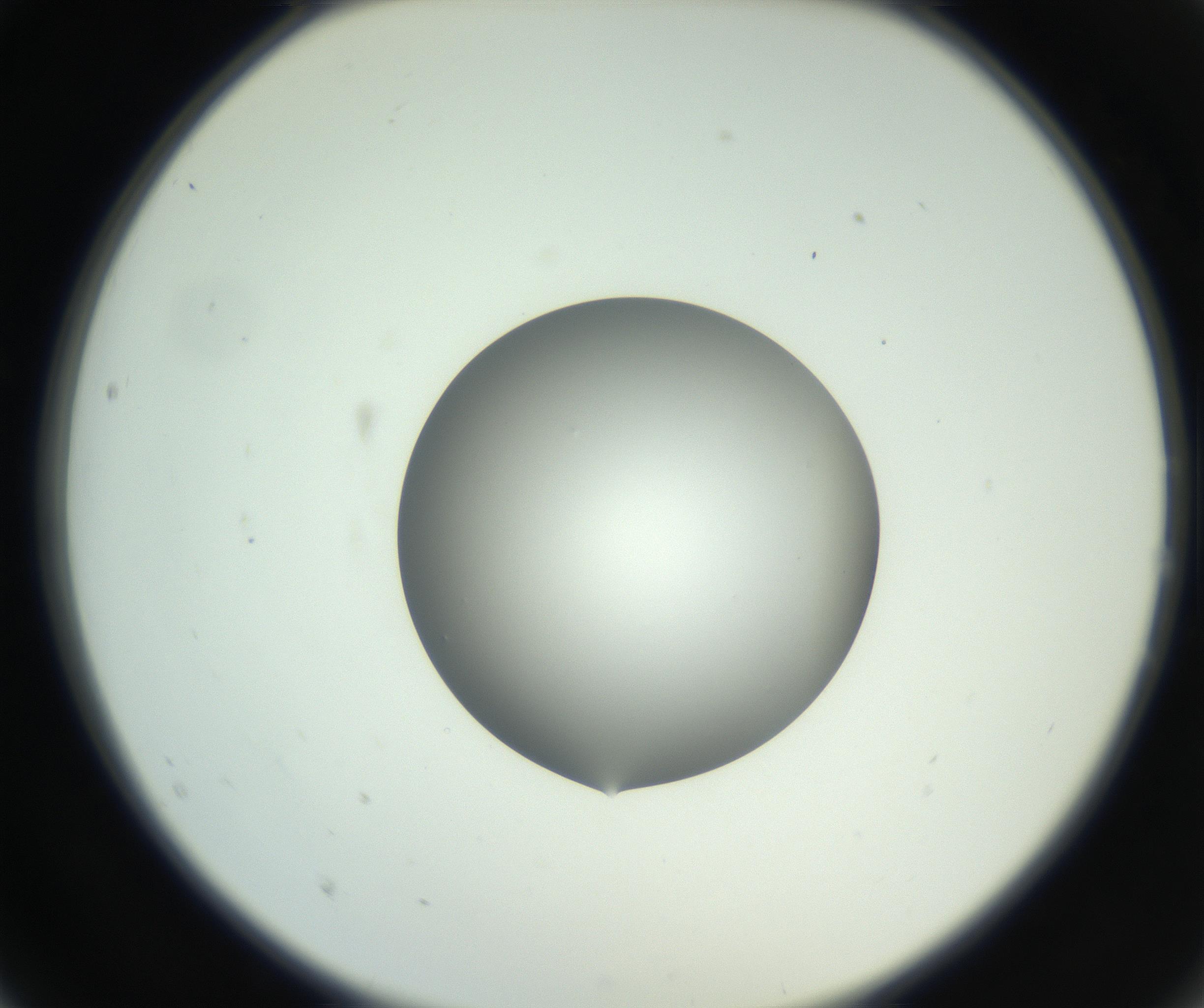 RI01_03_000_0212_Proj1_Clon1_MC_0000MC102746_002_160922_02_02_02_00_99_002_001_RAI.jpg