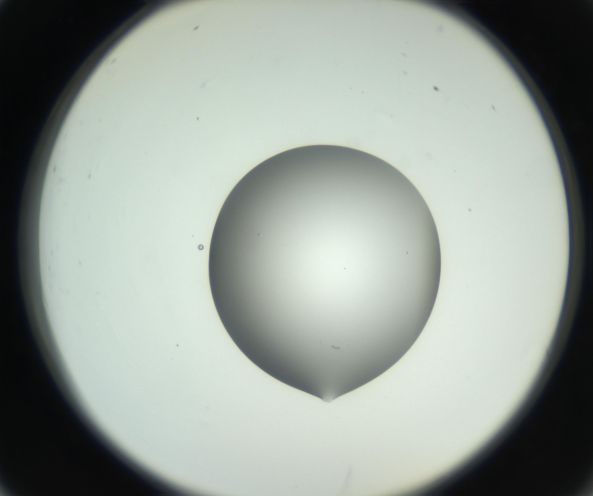 RI01_03_000_0212_Proj1_Clon1_MC_0000MC102746_002_160922_02_03_02_00_99_002_001_RAI.jpg