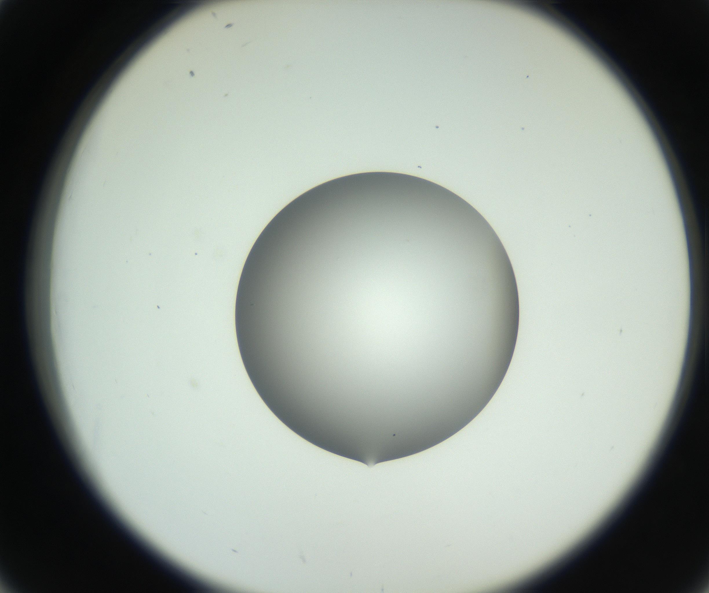 RI01_03_000_0212_Proj1_Clon1_MC_0000MC102746_002_160922_02_04_02_00_99_002_001_RAI.jpg