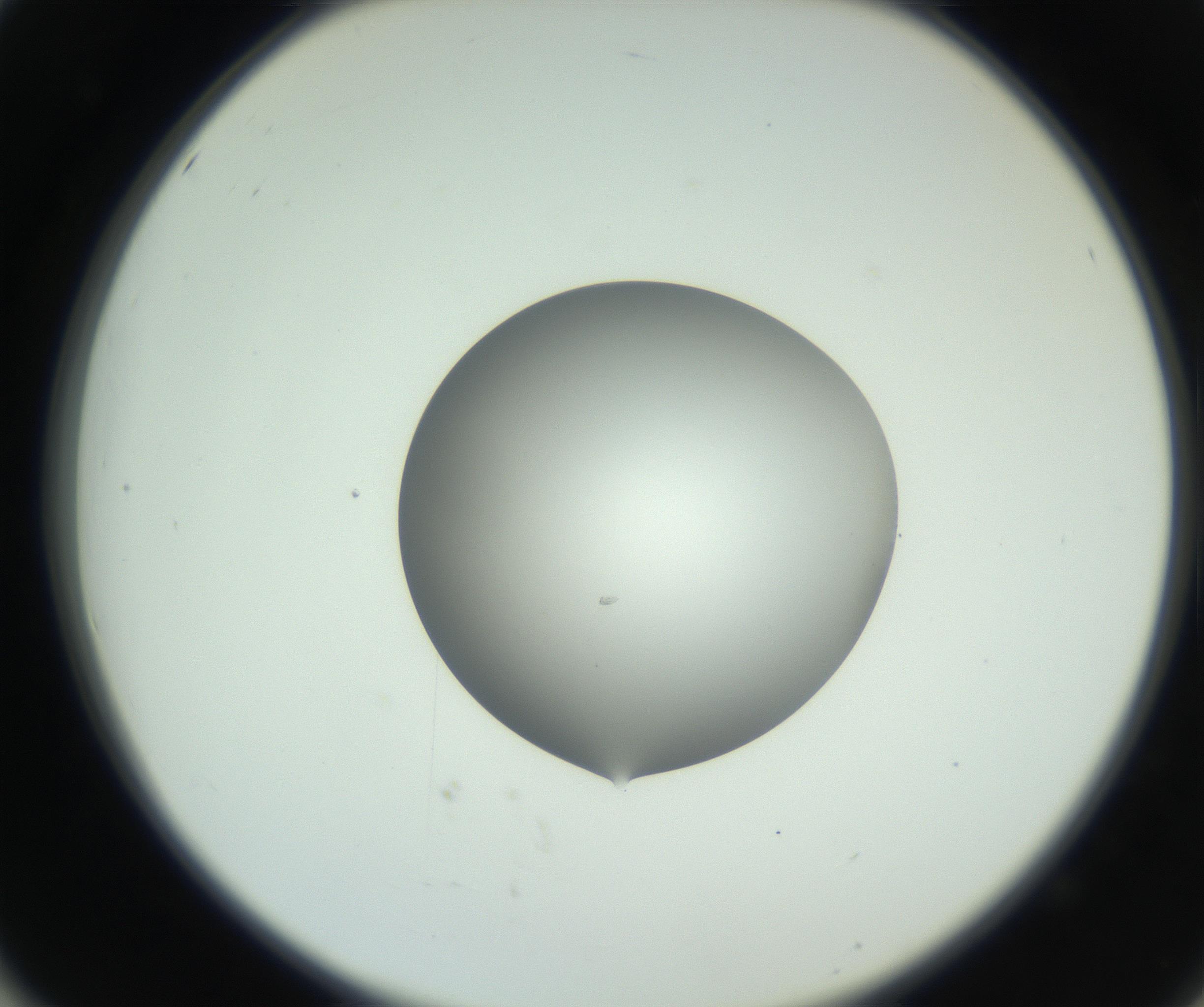 RI01_03_000_0212_Proj1_Clon1_MC_0000MC102746_002_160922_02_05_02_00_99_002_001_RAI.jpg