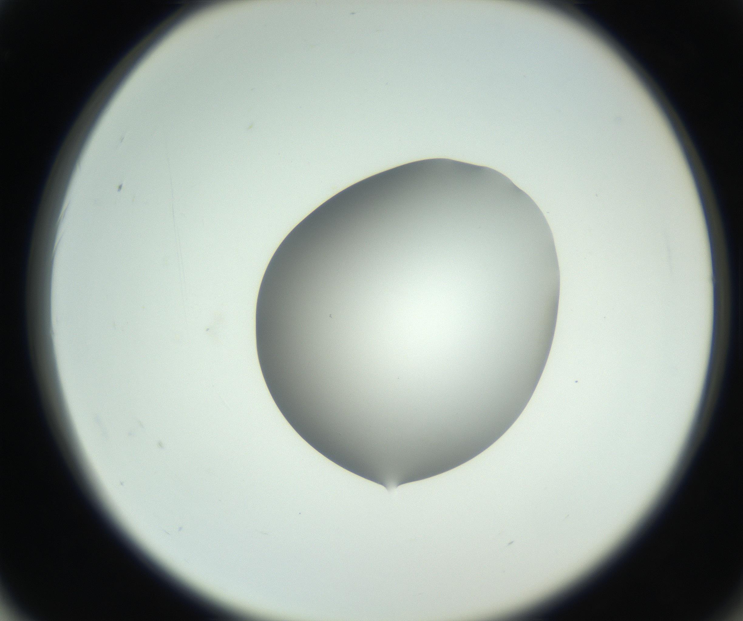 RI01_03_000_0212_Proj1_Clon1_MC_0000MC102746_002_160922_02_06_02_00_99_002_001_RAI.jpg