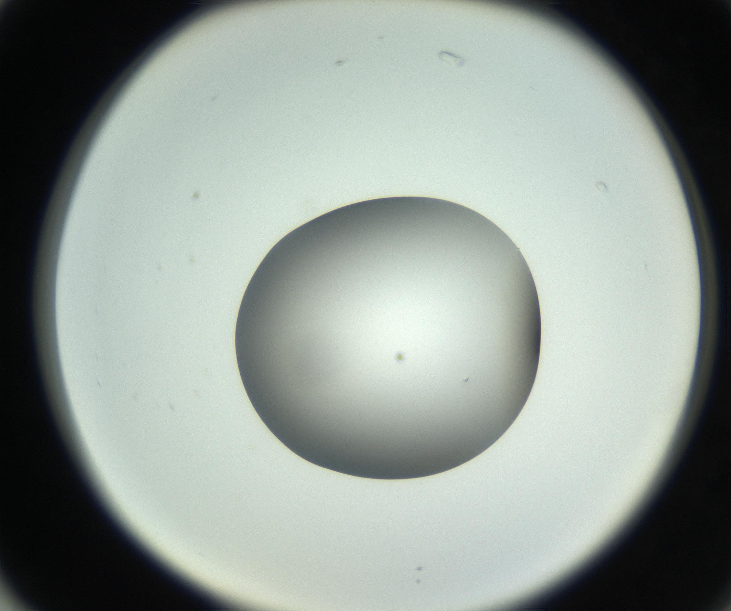 RI01_03_000_0212_Proj1_Clon1_MC_0000MC102746_002_160922_02_07_02_00_99_002_001_RAI.jpg