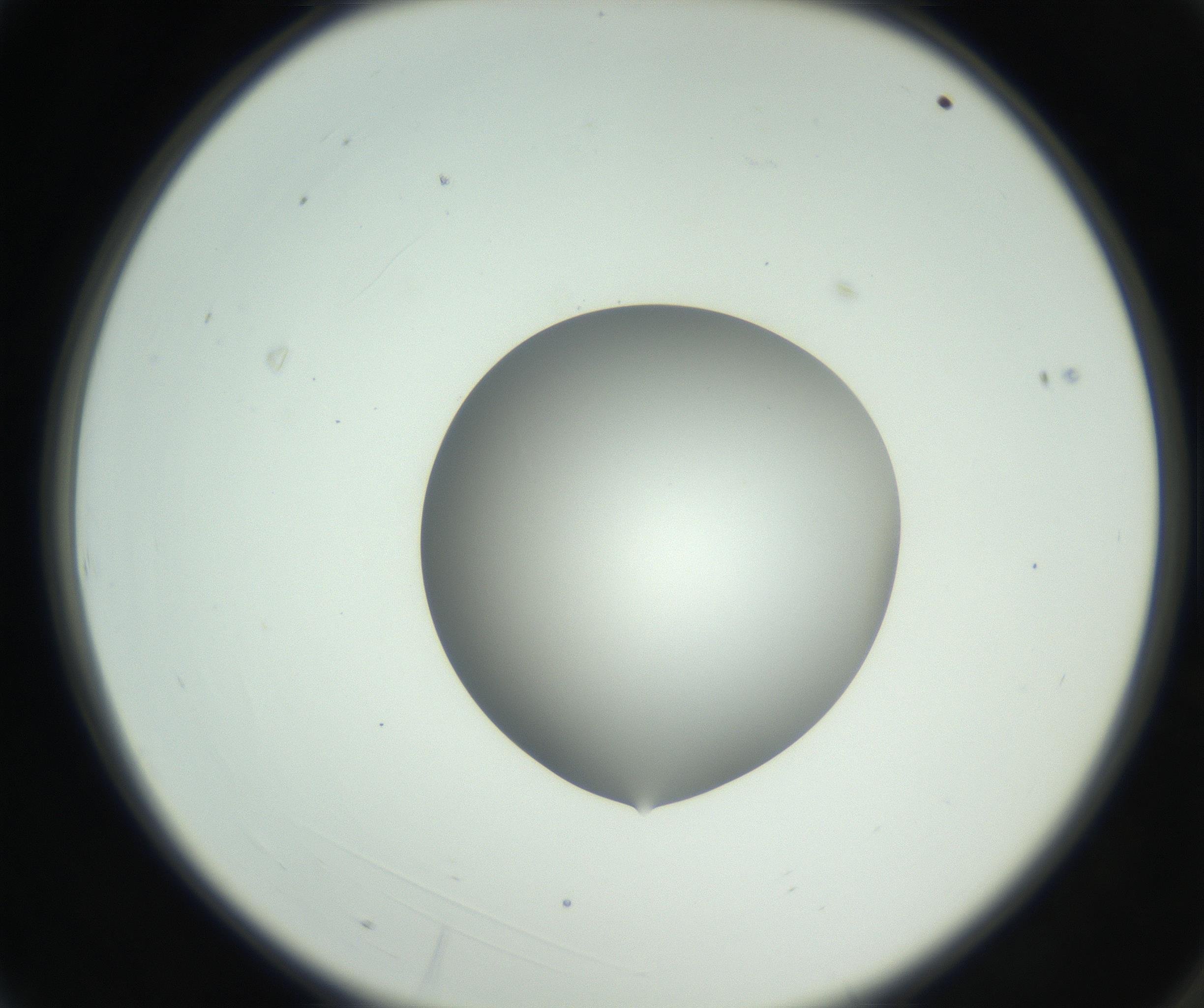 RI01_03_000_0212_Proj1_Clon1_MC_0000MC102746_002_160922_03_01_02_00_99_002_001_RAI.jpg