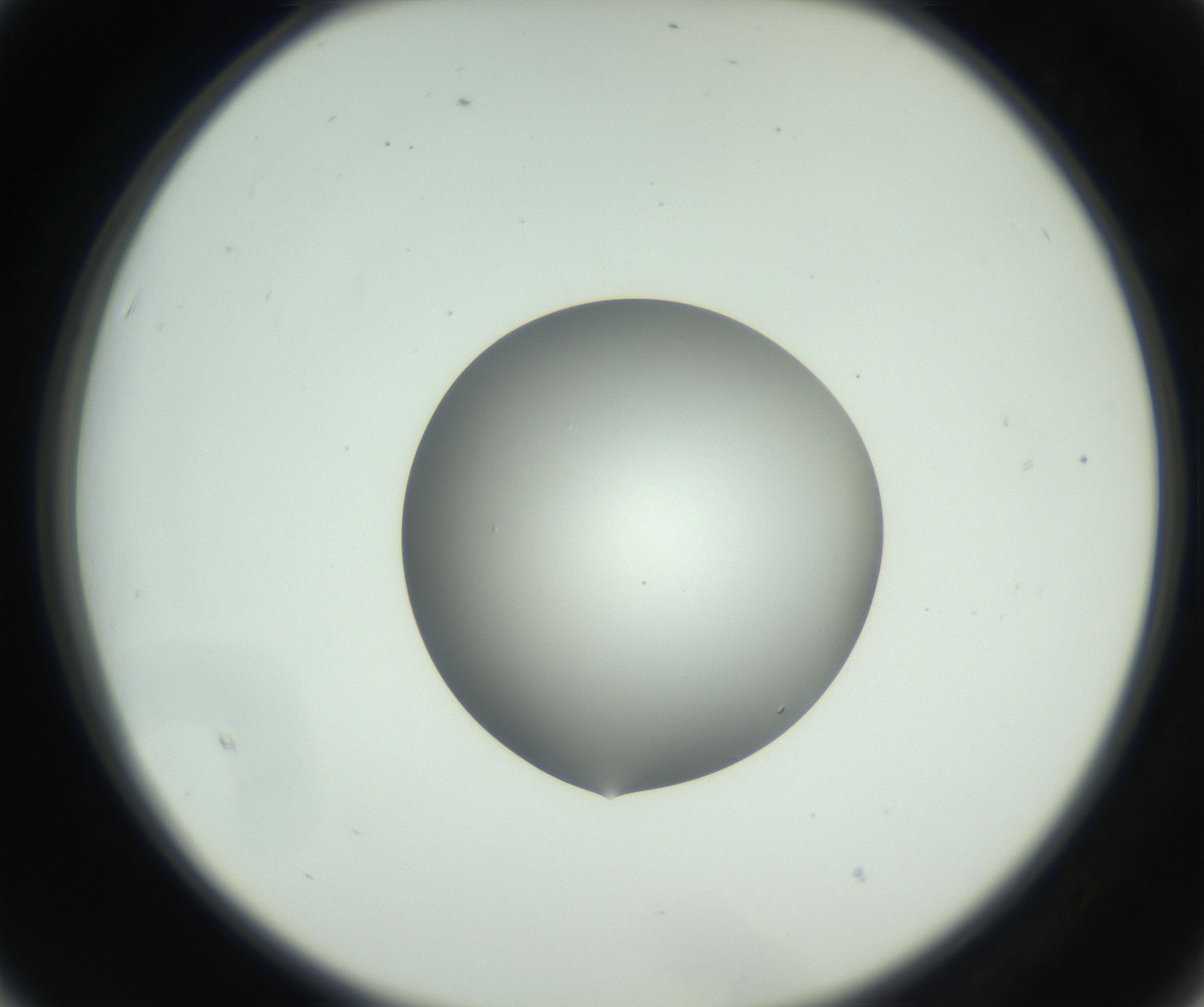 RI01_03_000_0212_Proj1_Clon1_MC_0000MC102746_002_160922_03_02_02_00_99_002_001_RAI.jpg